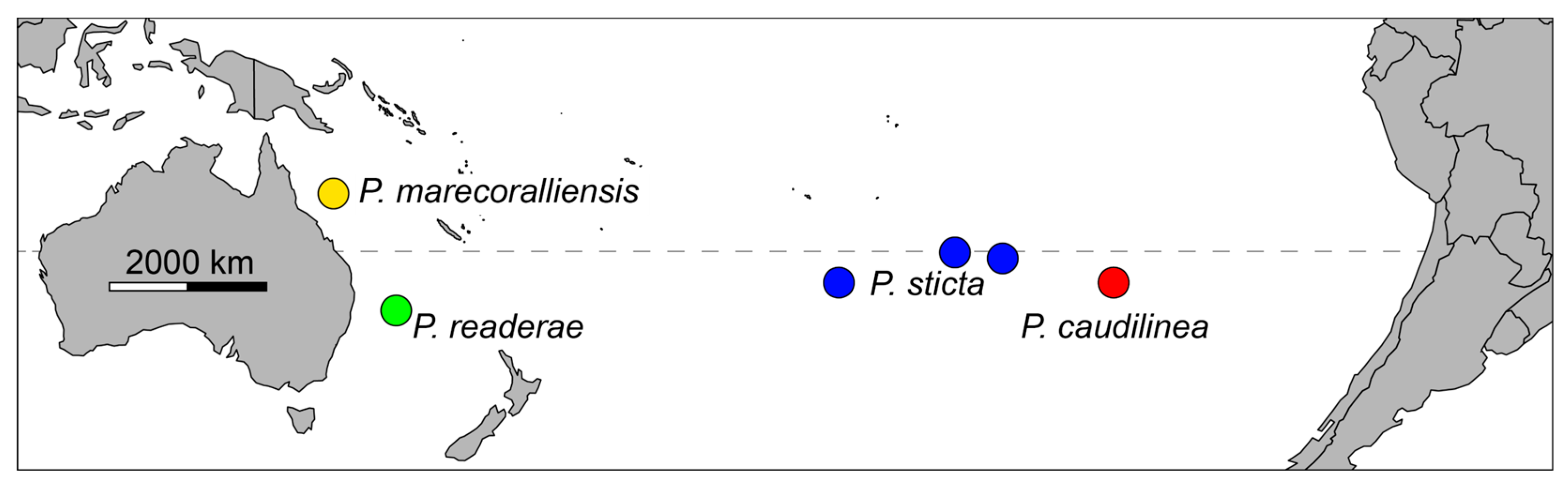 Fishes 10 00449 g014