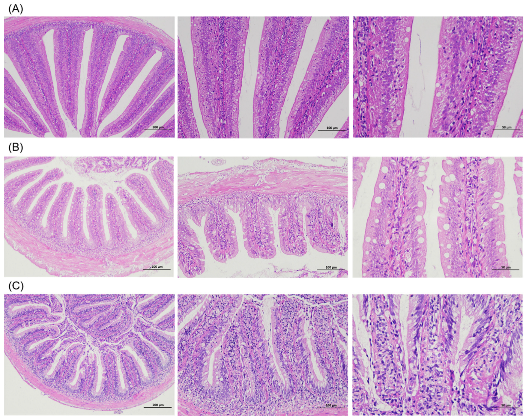 Fishes 10 00451 g003