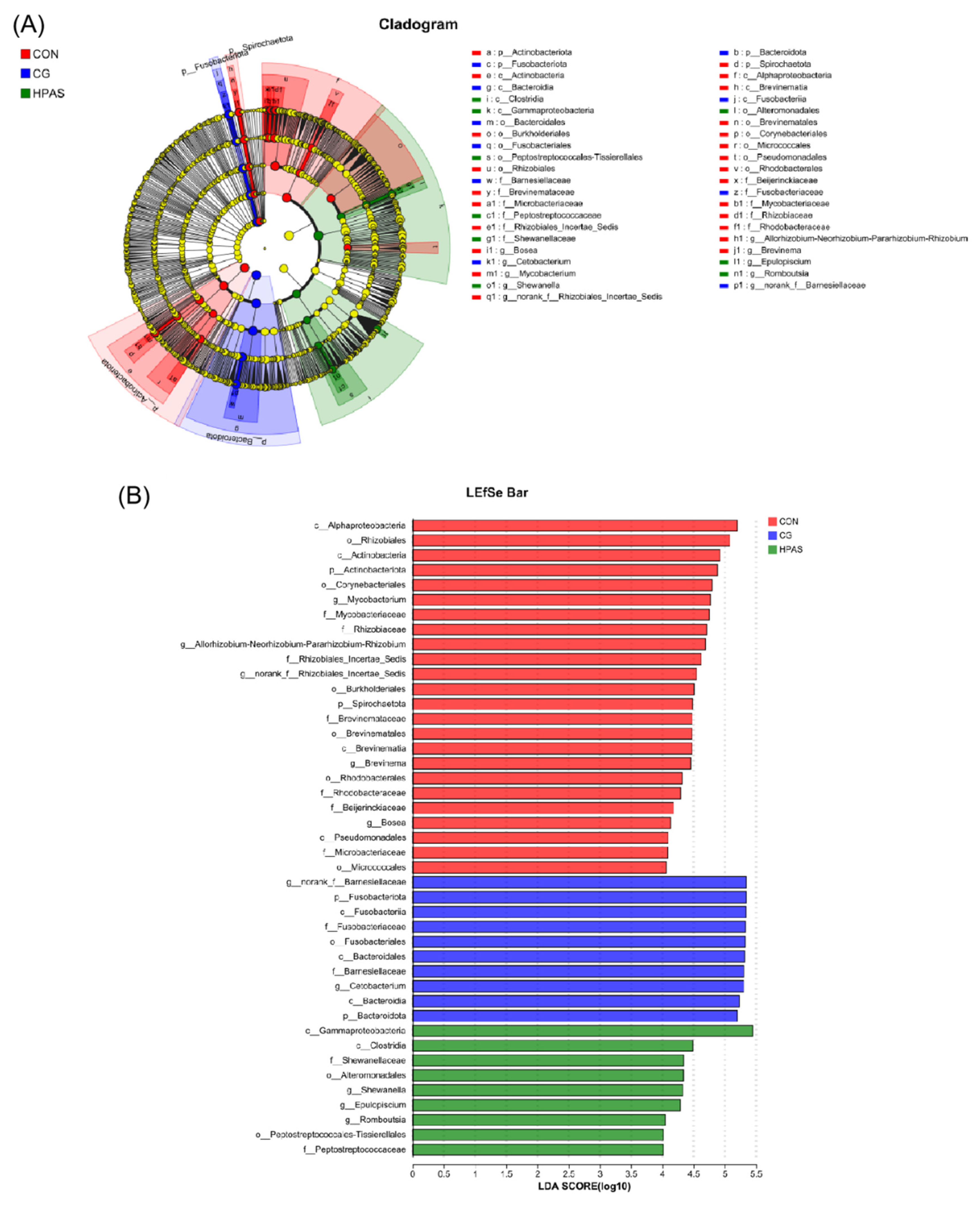 Fishes 10 00451 g008