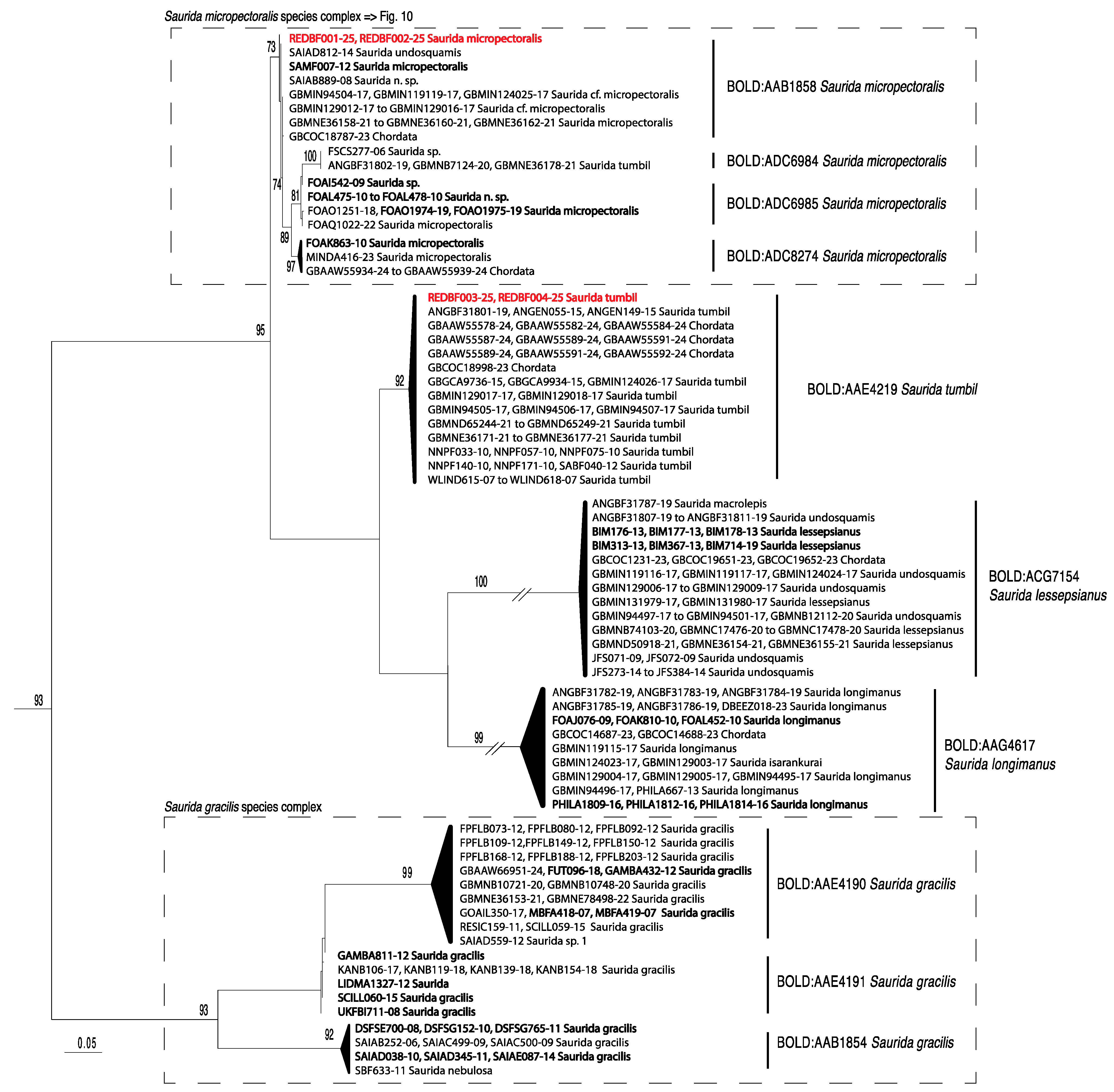 Fishes 10 00452 g009