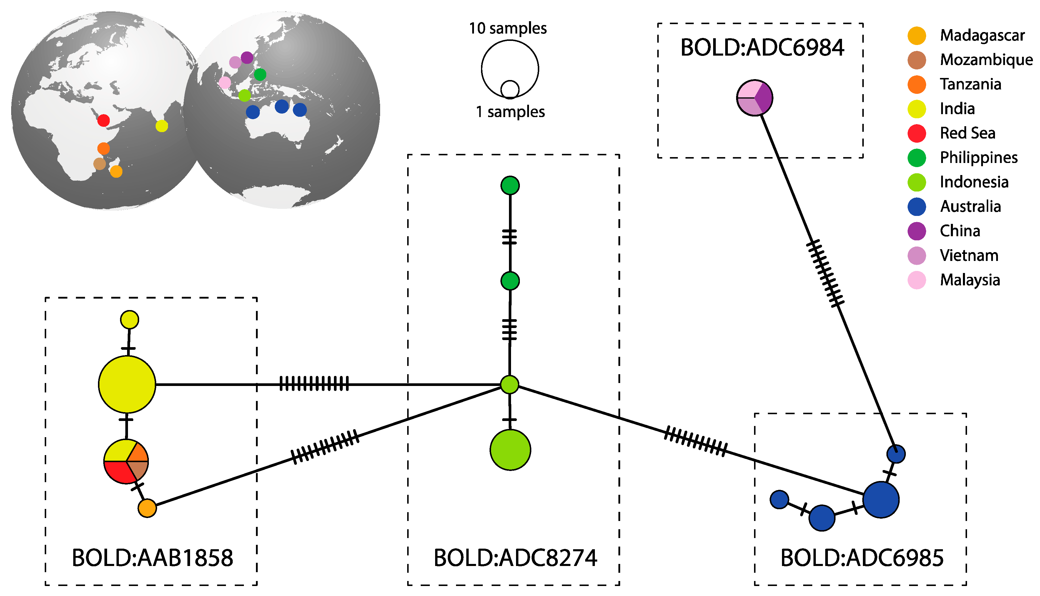 Fishes 10 00452 g010