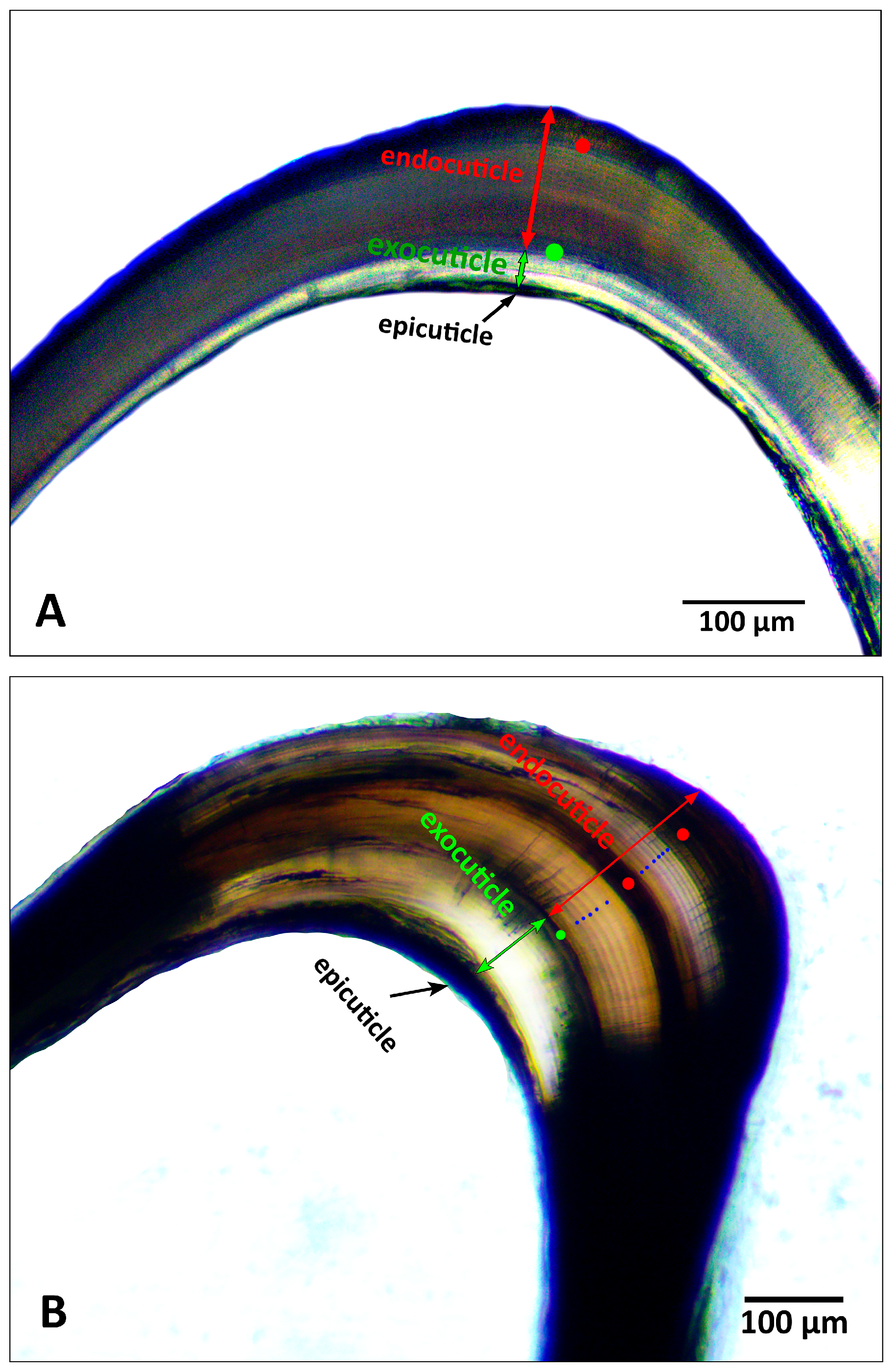 Fishes 10 00453 g003
