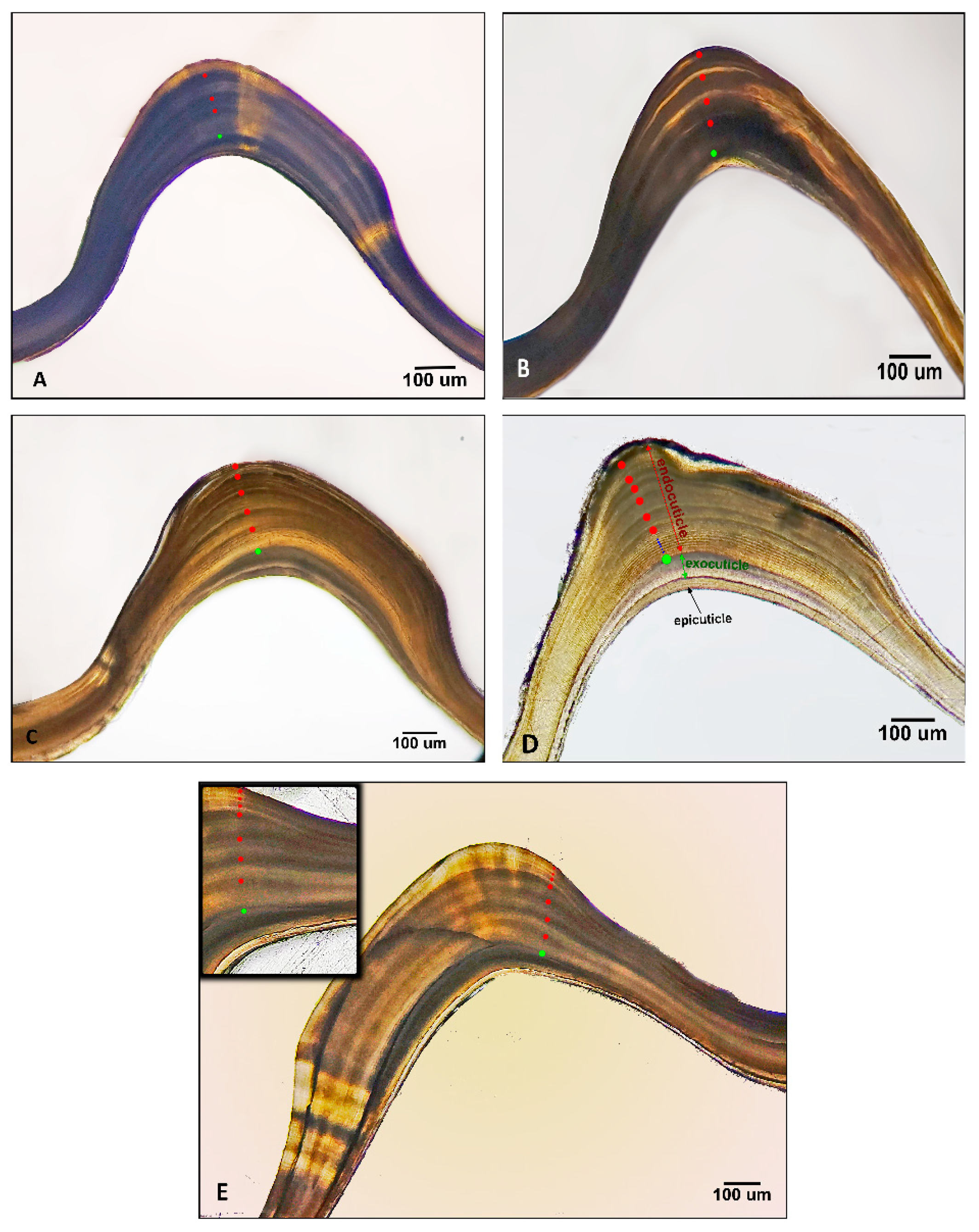 Fishes 10 00453 g009