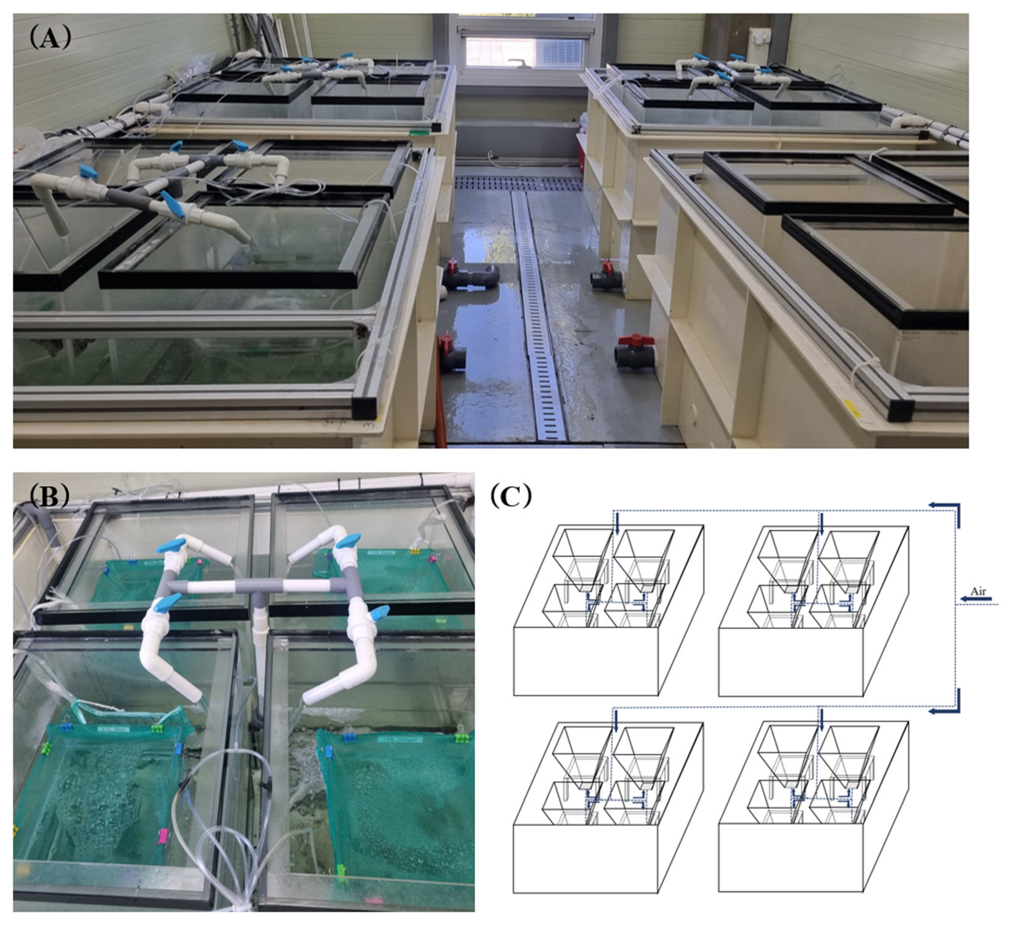 Fishes 10 00455 g001