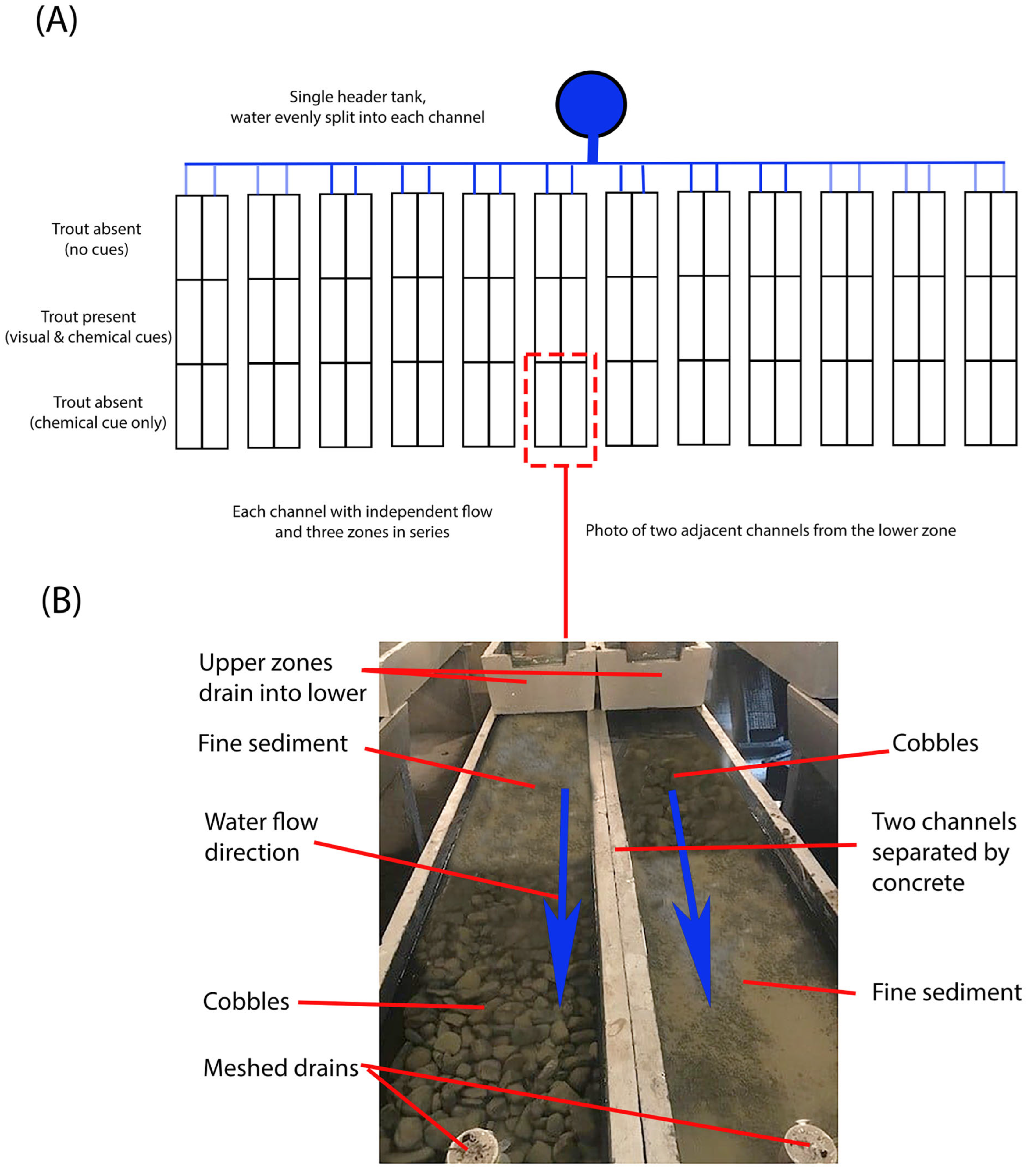 Fishes 10 00456 g001