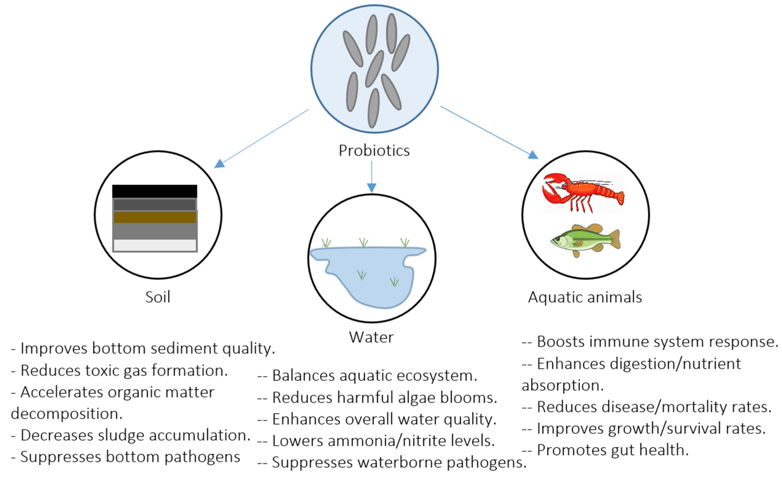Fishes 10 00457 g001