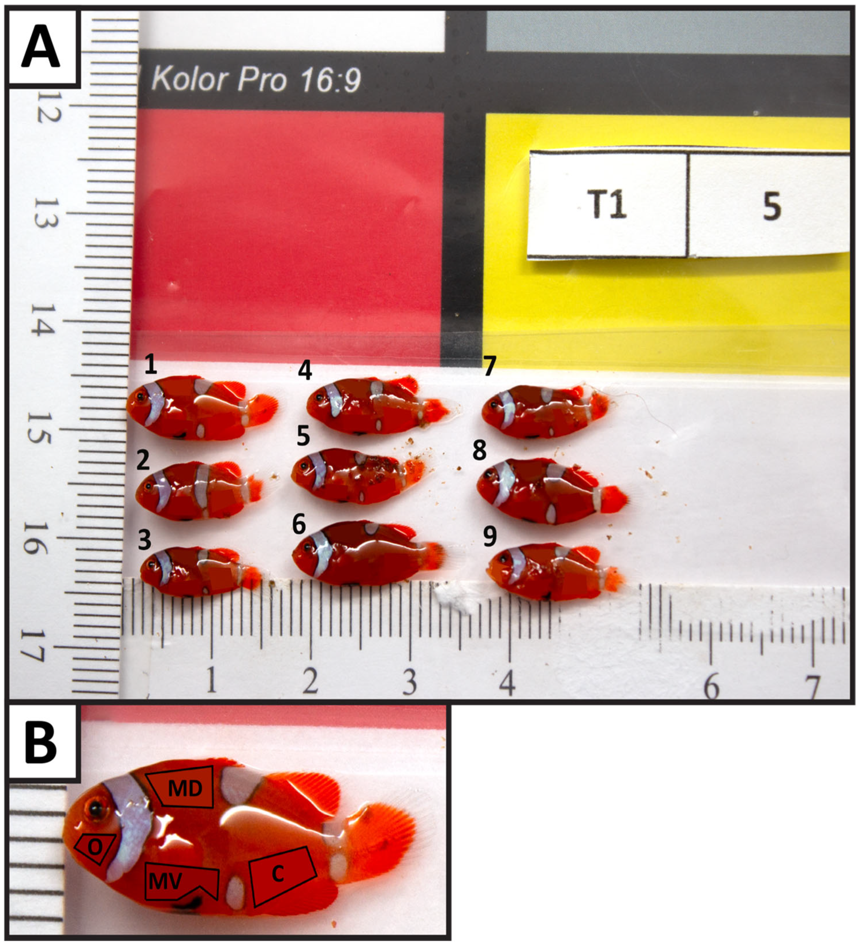 Fishes 10 00461 g003