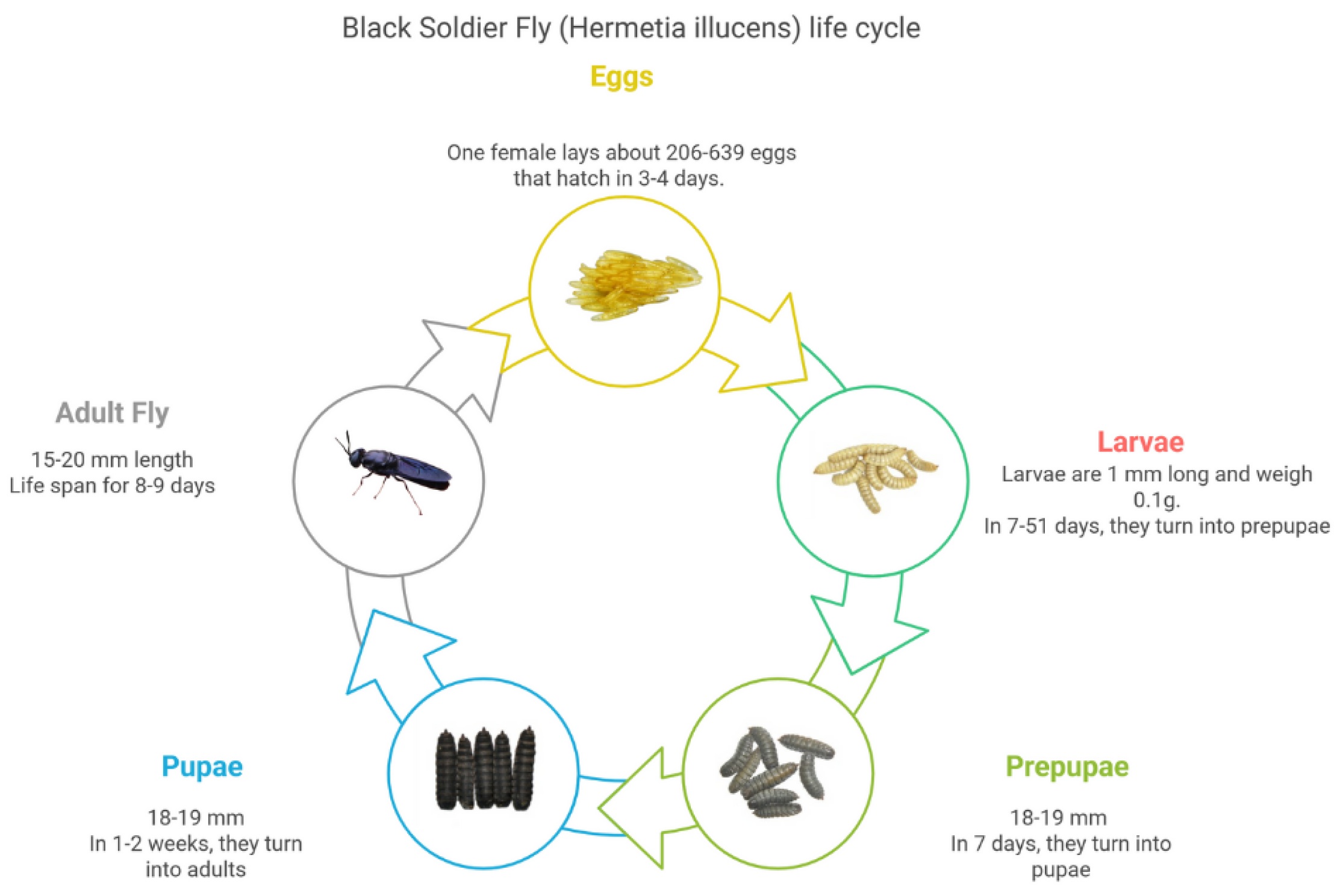 Fishes 10 00464 g001