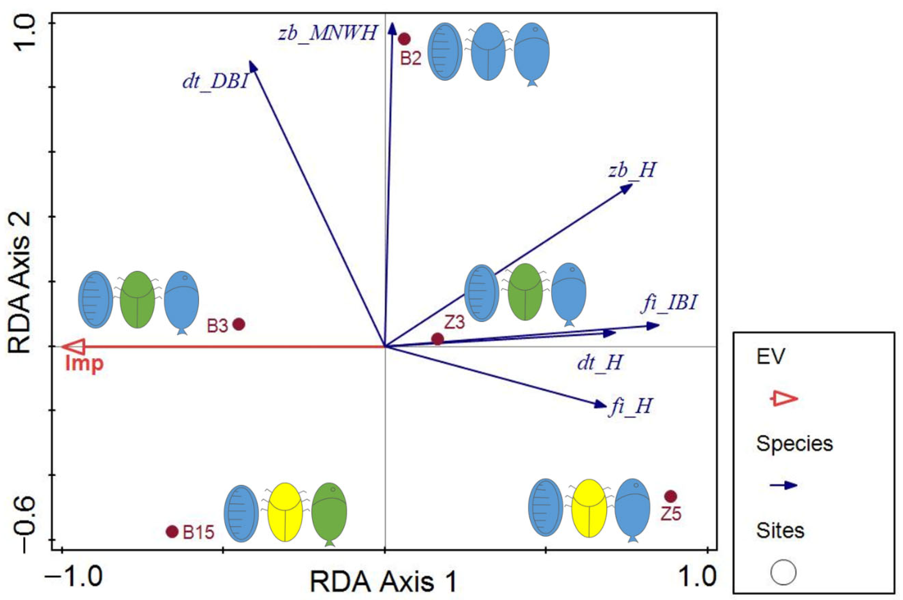 Fishes 10 00467 g005