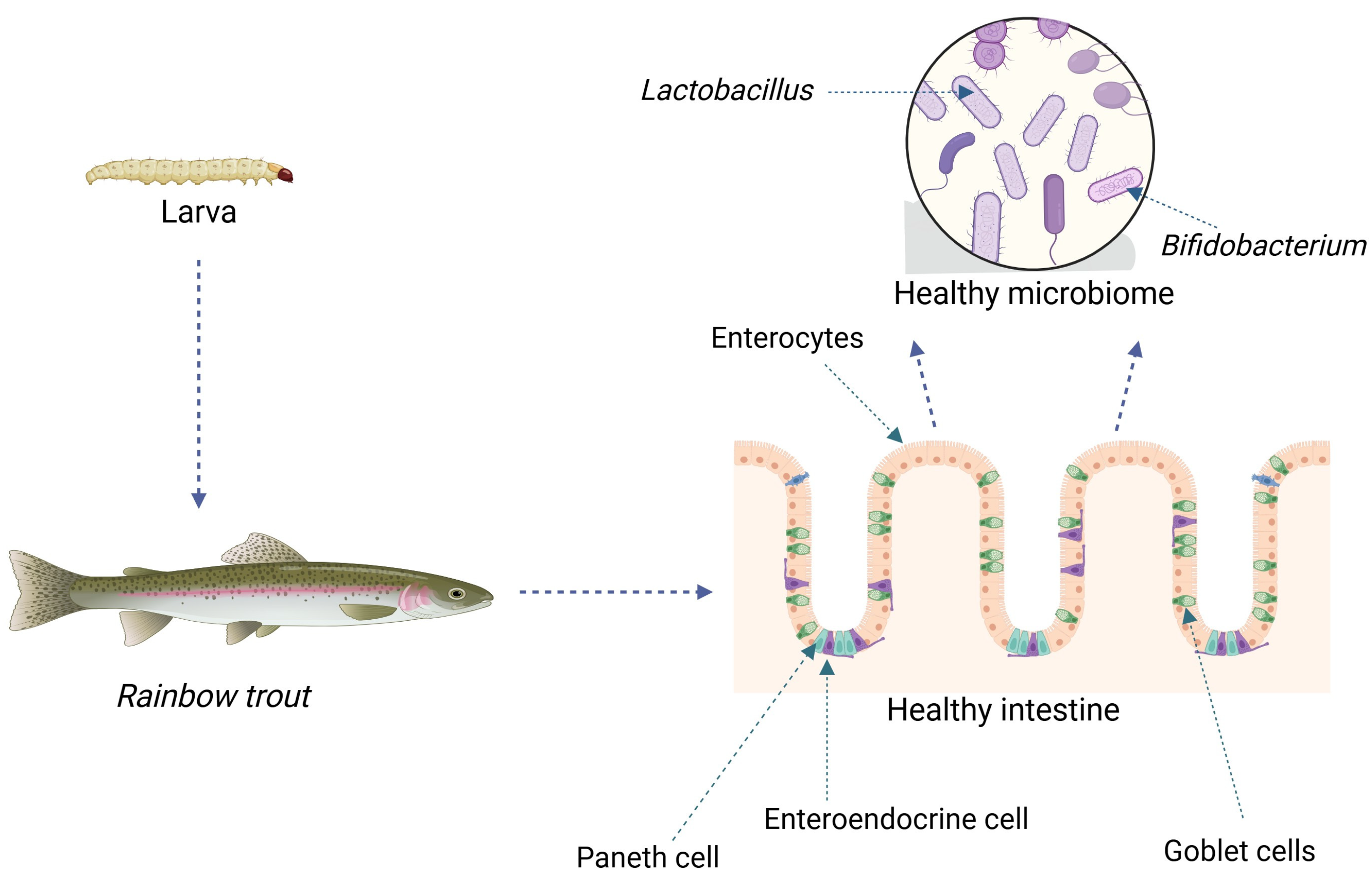 Fishes 10 00468 g001 Fishes 10 00468 g001