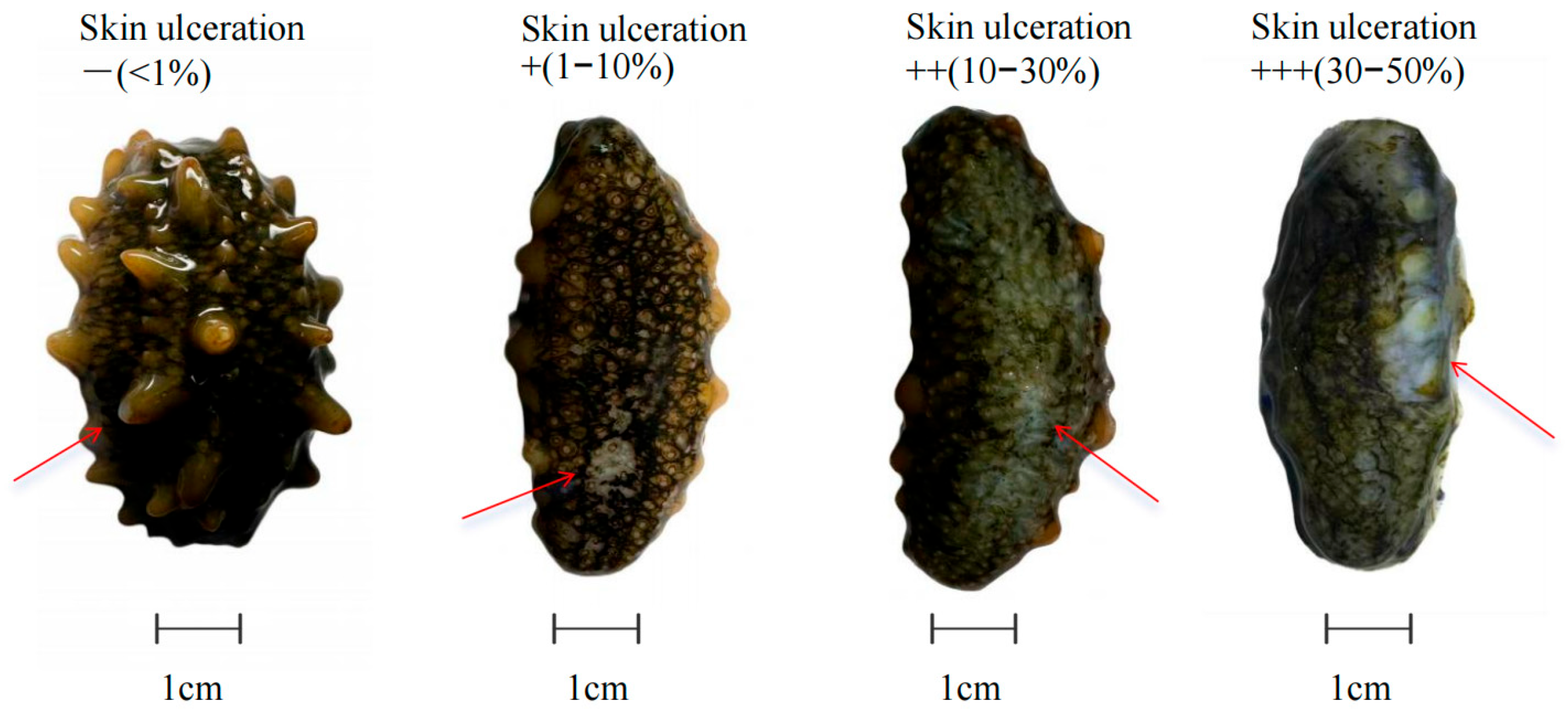 Fishes 10 00470 g001 Fishes 10 00470 g001