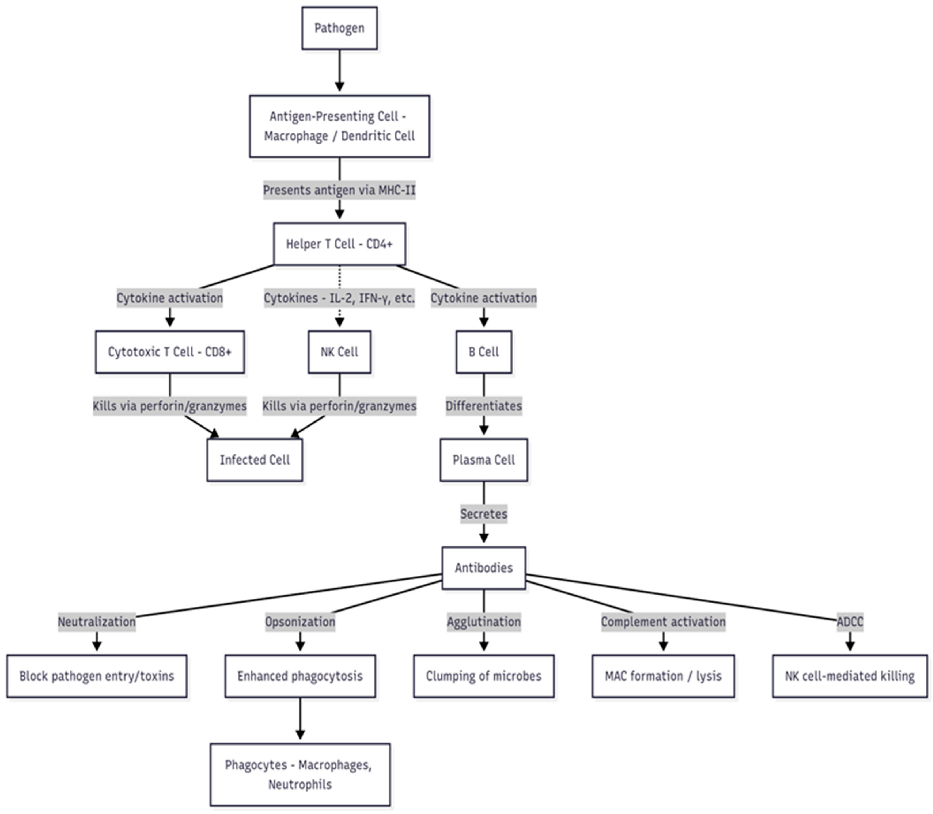 Fishes 10 00471 g001