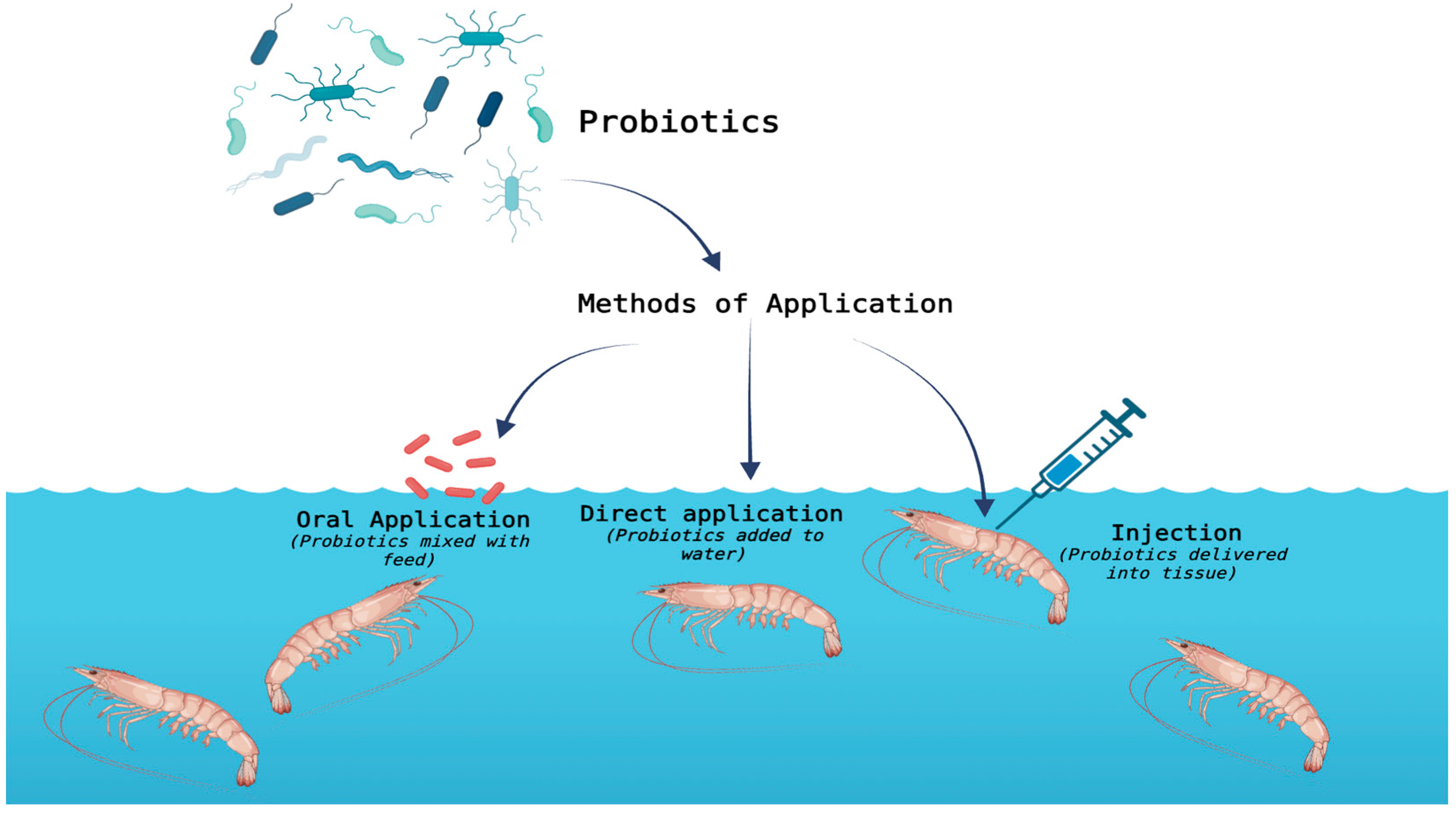 Fishes 10 00471 g002