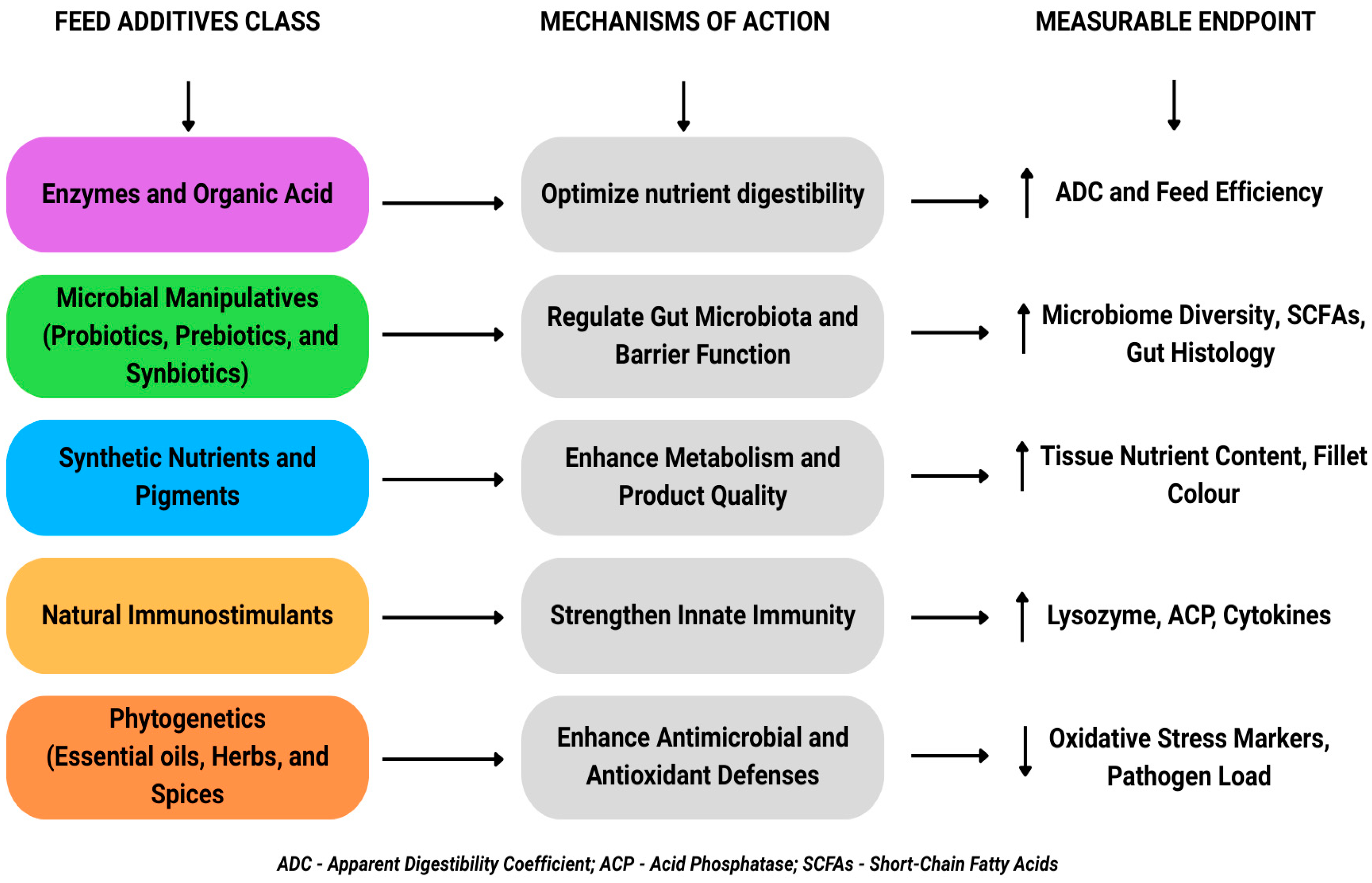 Fishes 10 00471 g003