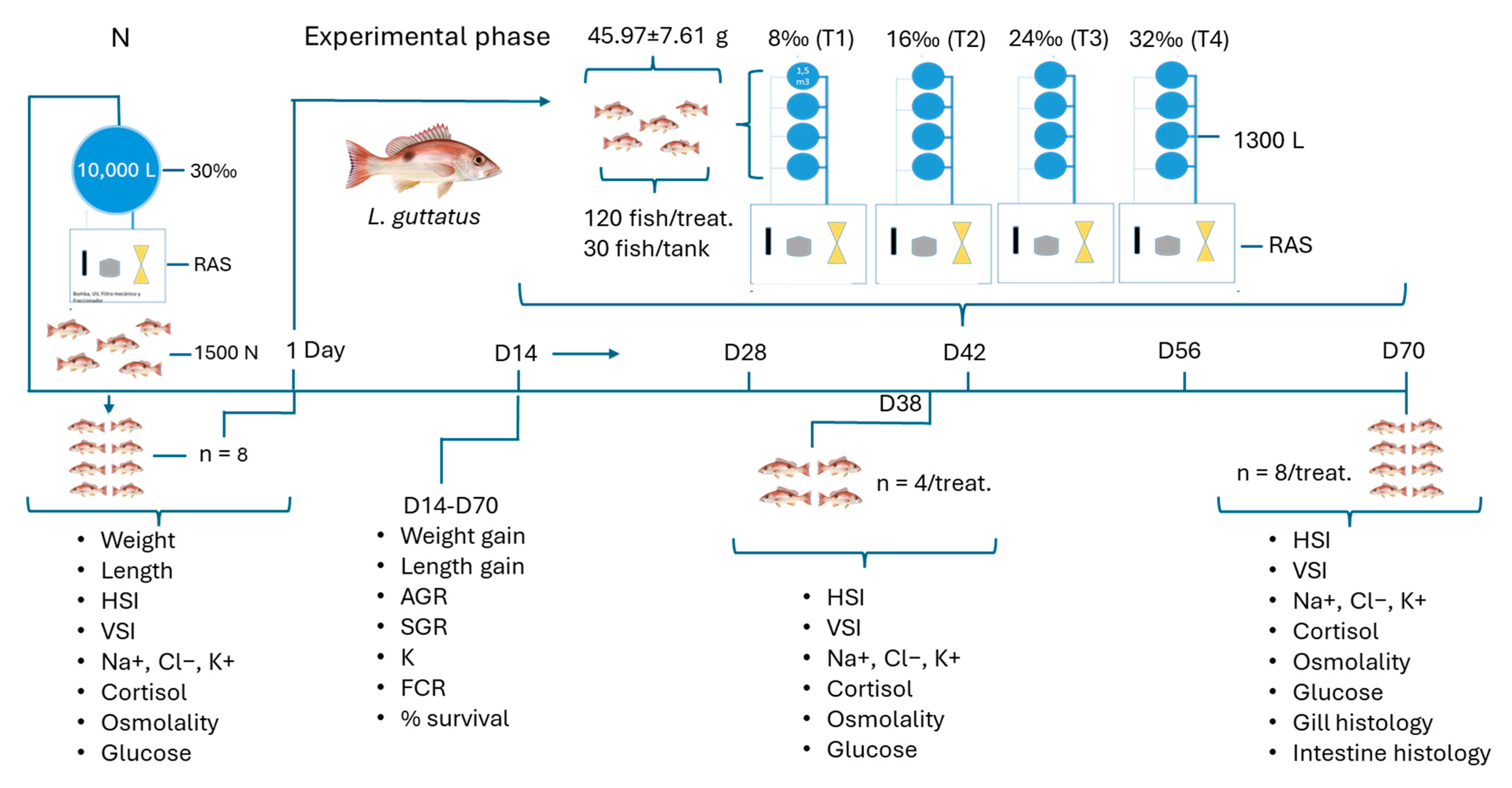 Fishes 10 00472 g001 Fishes 10 00472 g001
