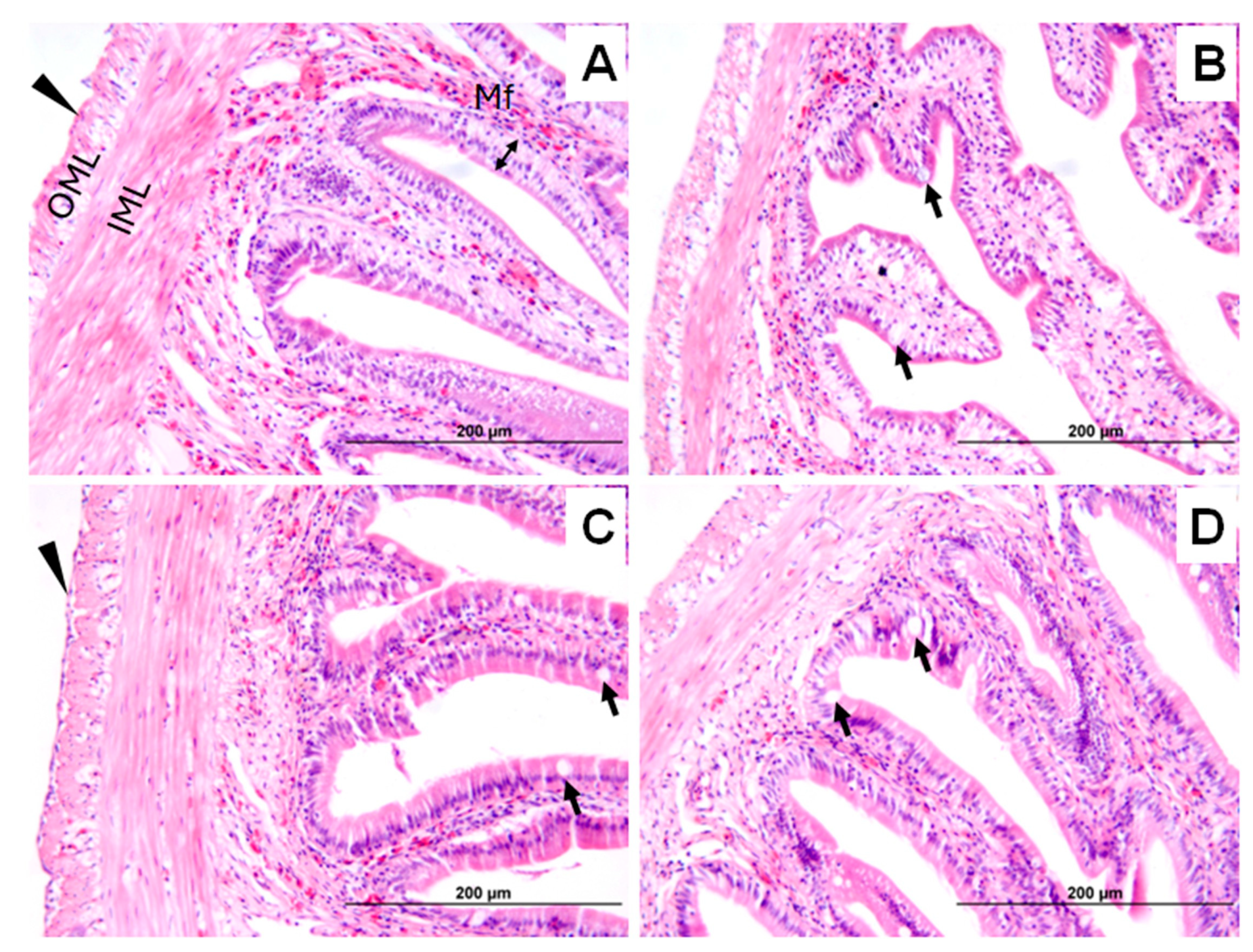 Fishes 10 00472 g007 Fishes 10 00472 g007
