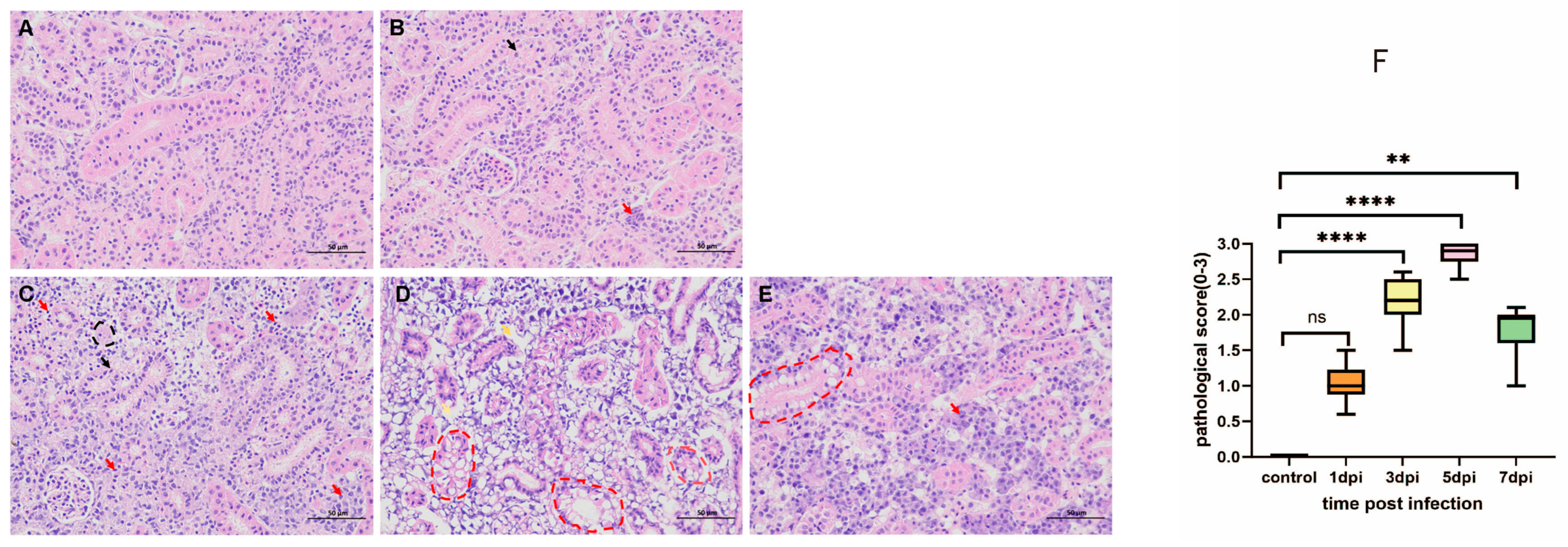 Fishes 10 00484 g003