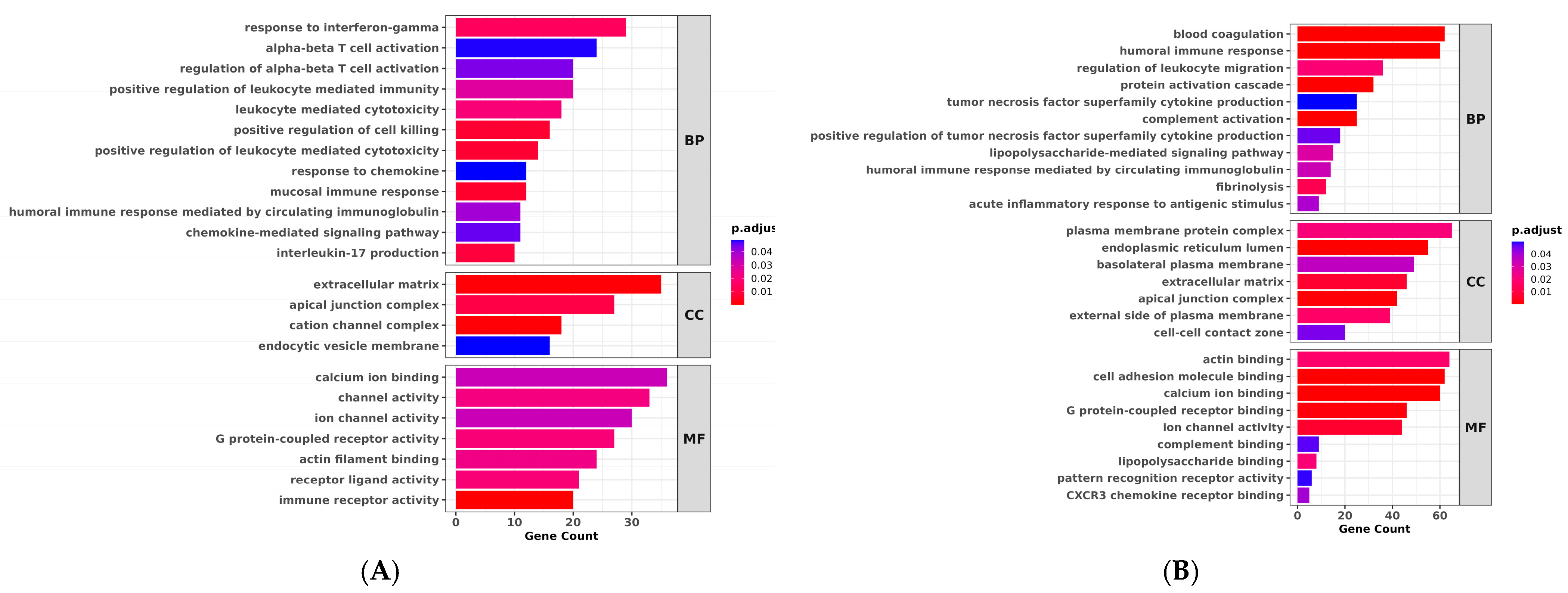 Fishes 10 00484 g006a