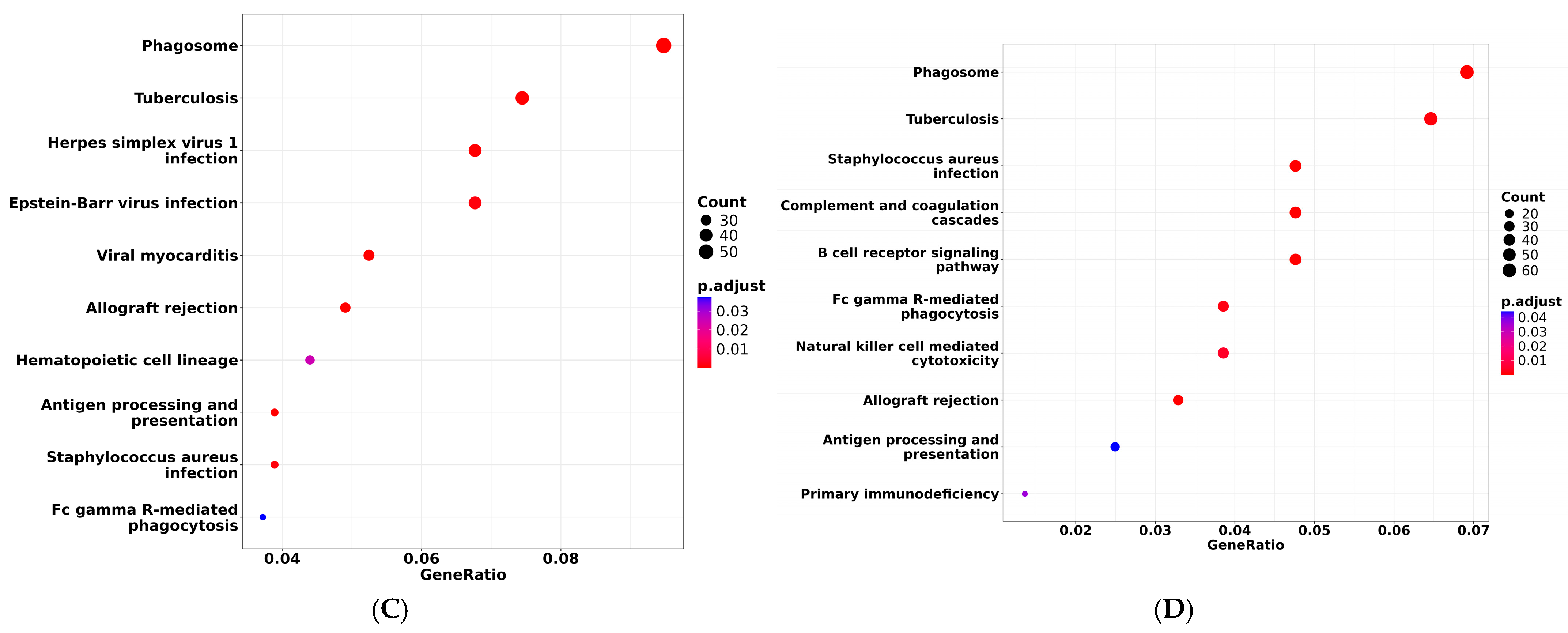 Fishes 10 00484 g006b