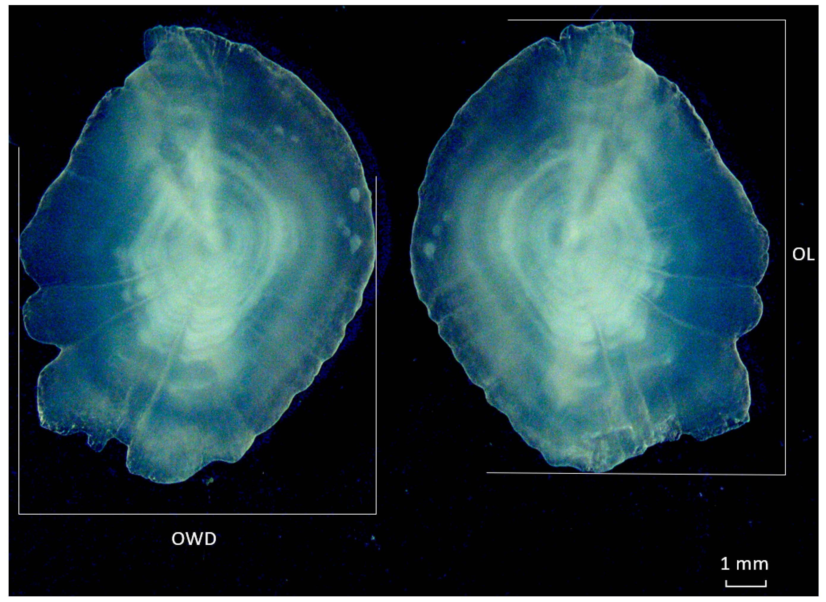 Fishes 10 00500 g002 Fishes 10 00500 g002