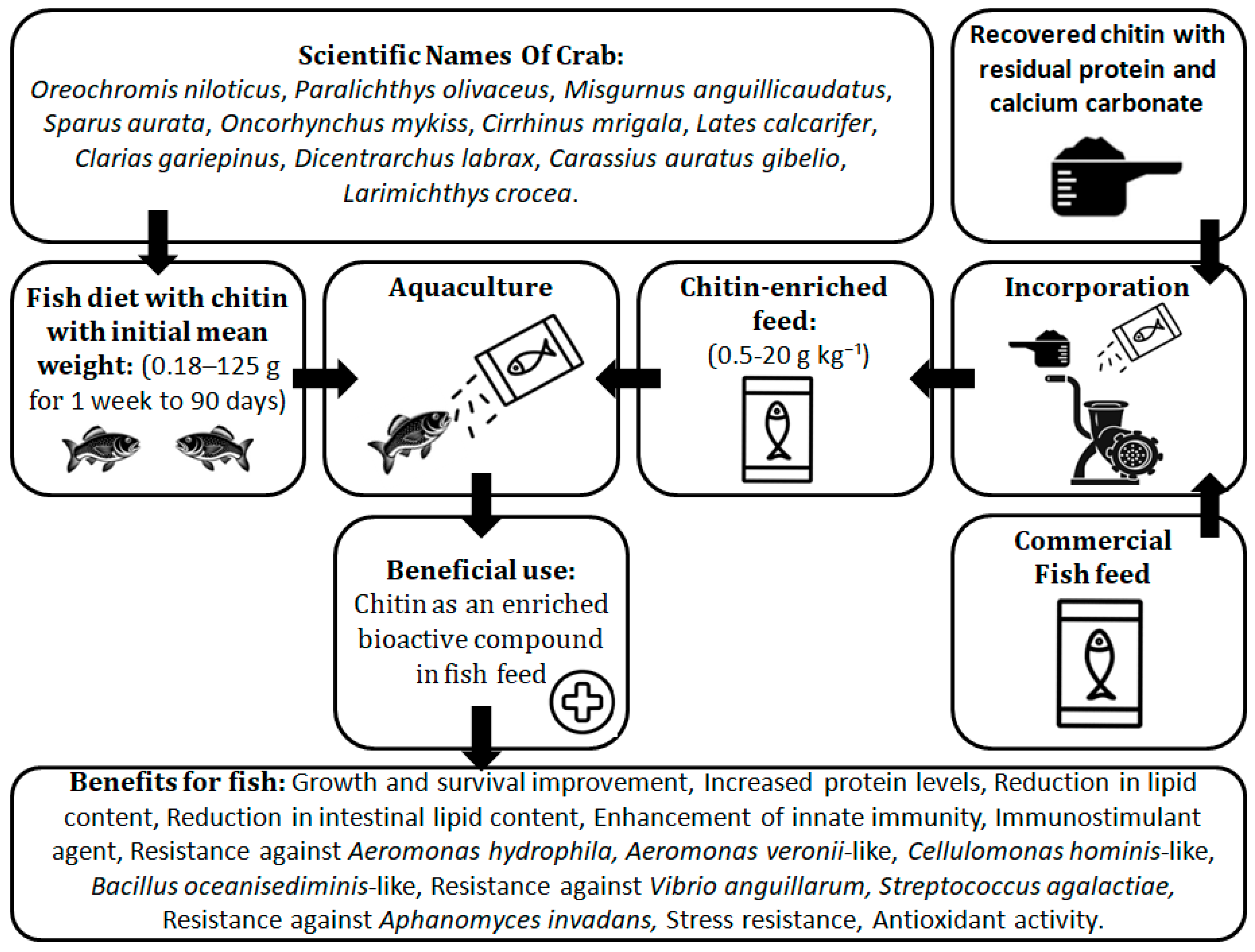 Fishes 10 00514 g003