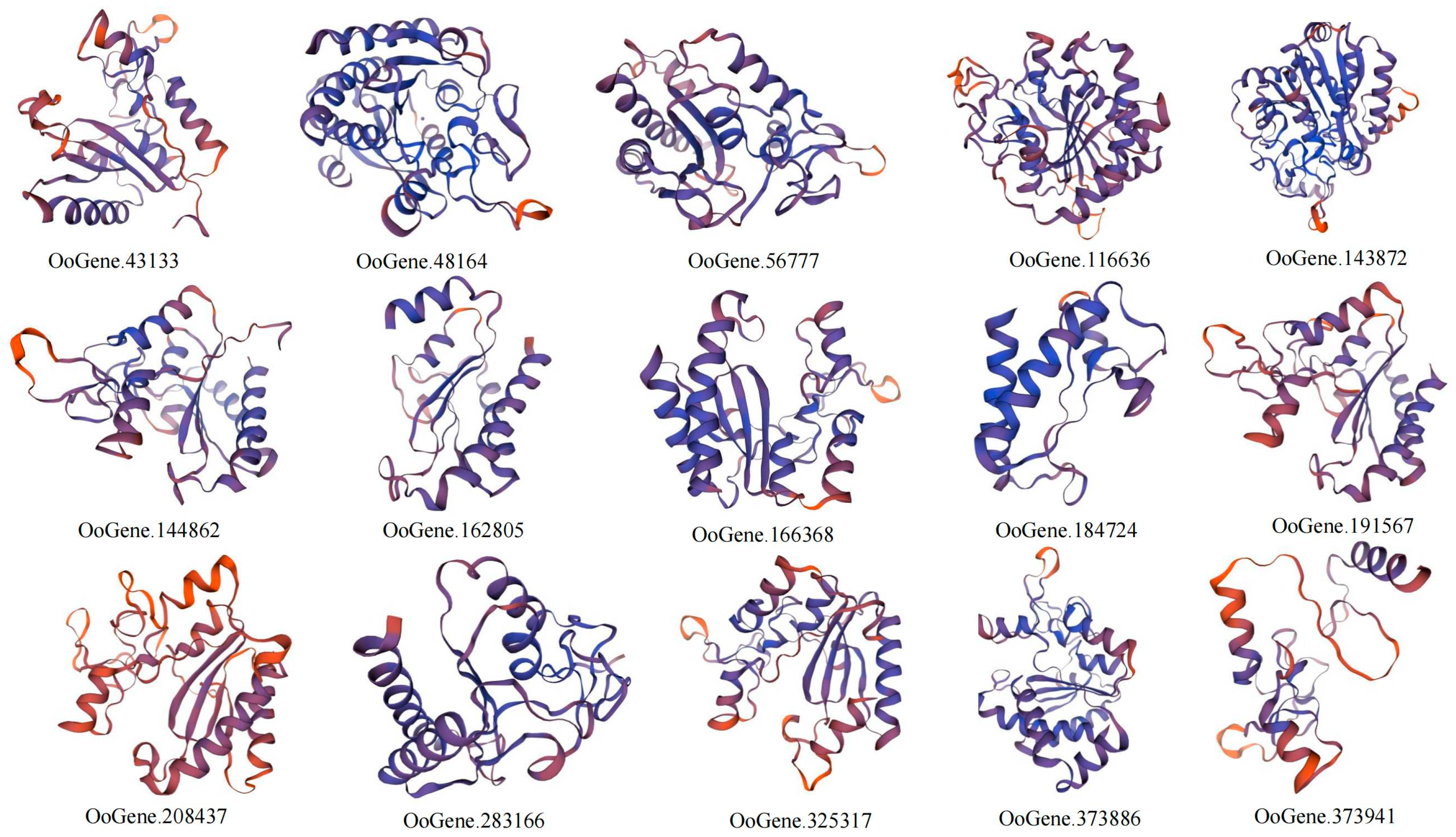 Identification of the Metallocarboxypeptidase M14 Gene Family in