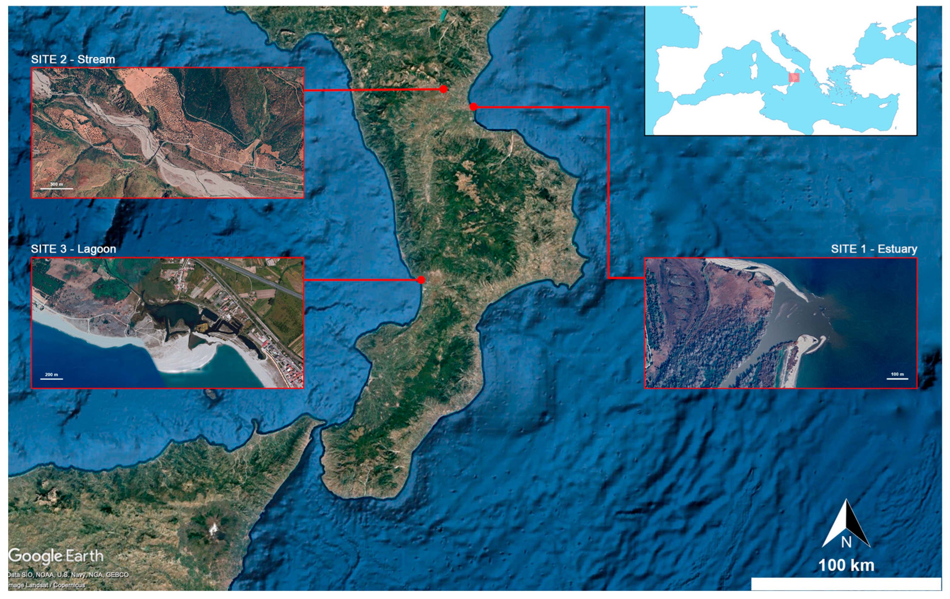 Fishes 10 00517 g001 Fishes 10 00517 g001