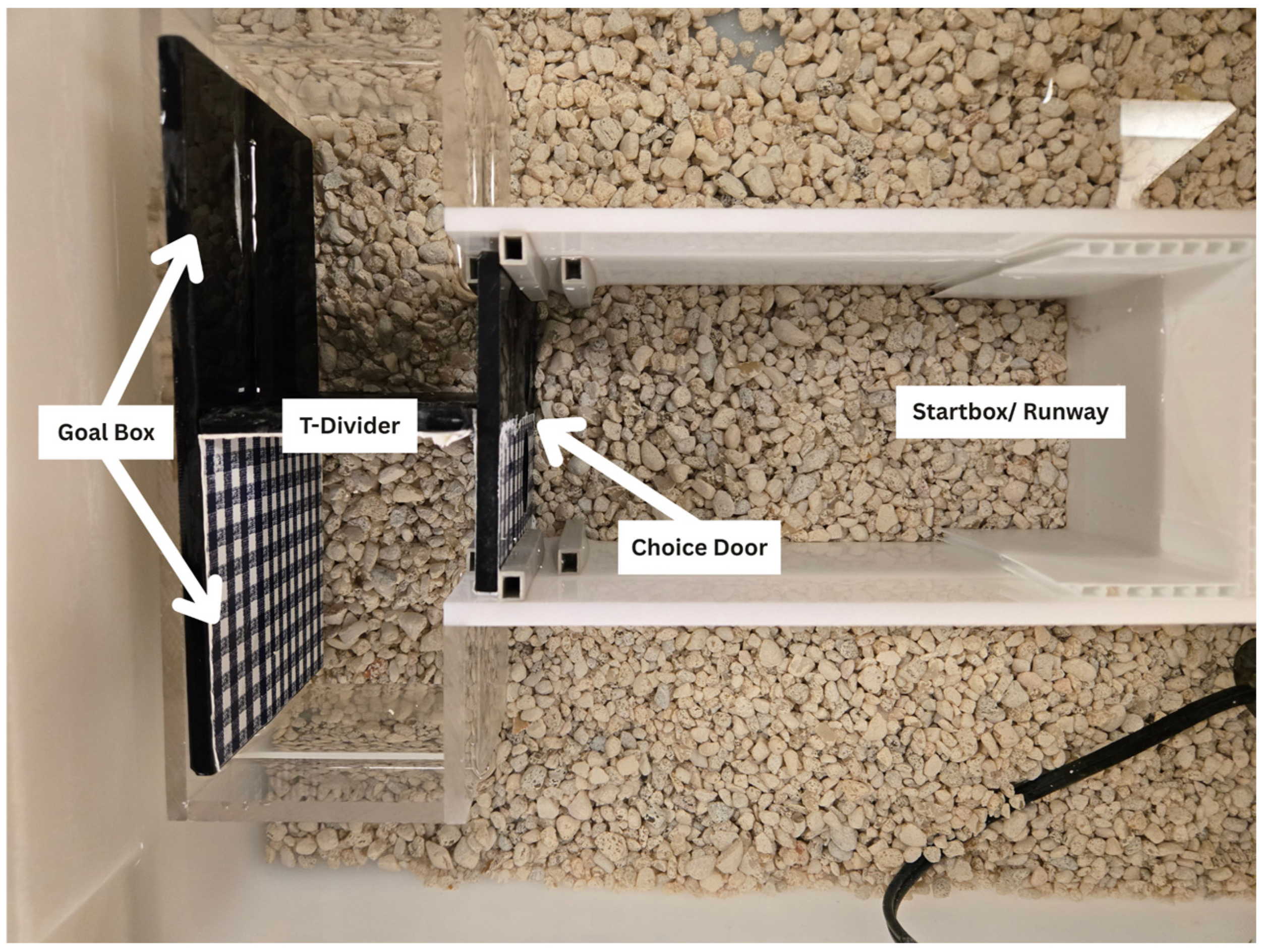 Fishes 10 00518 g001 Fishes 10 00518 g001