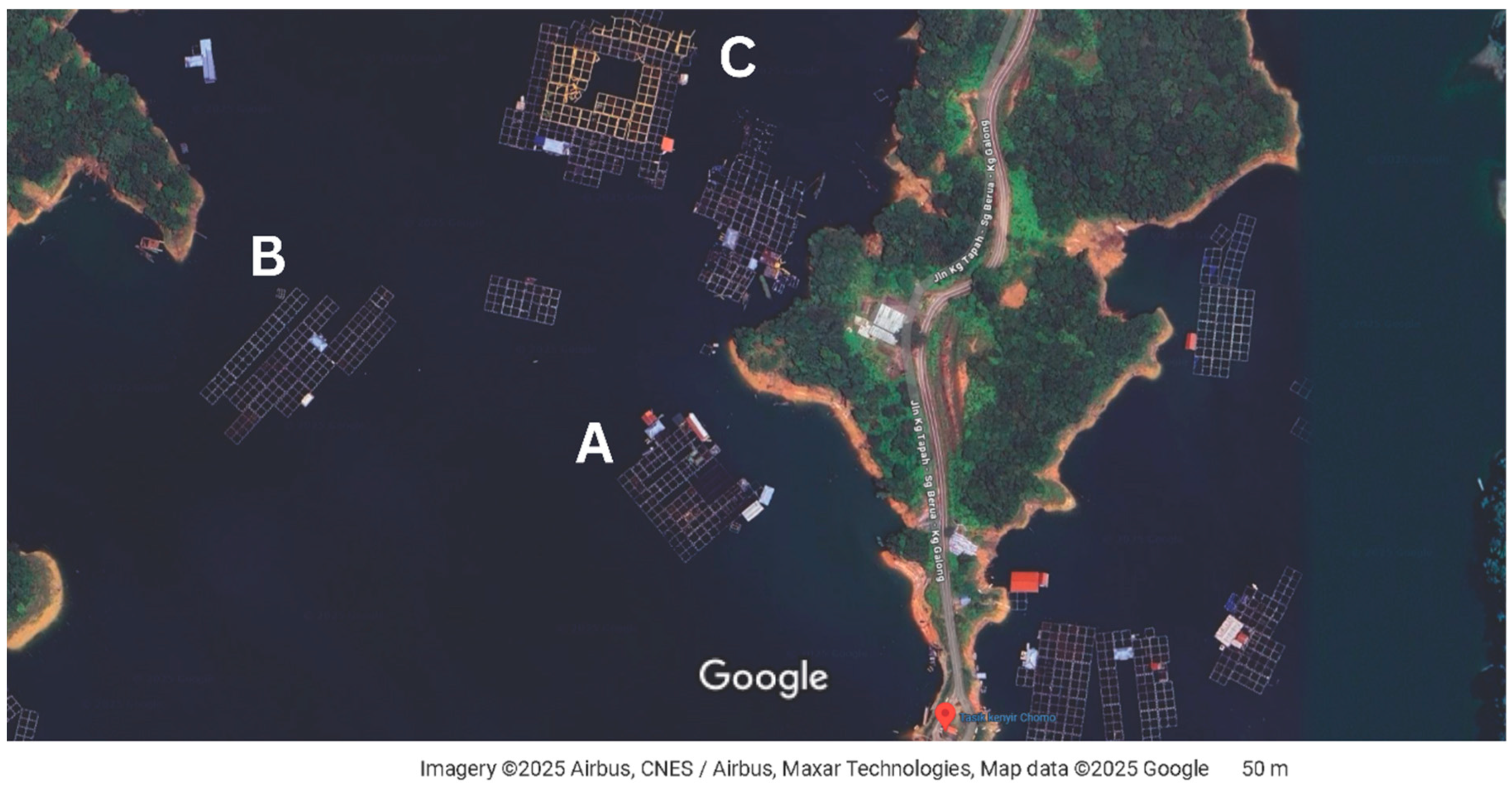 Fishes 10 00523 g001