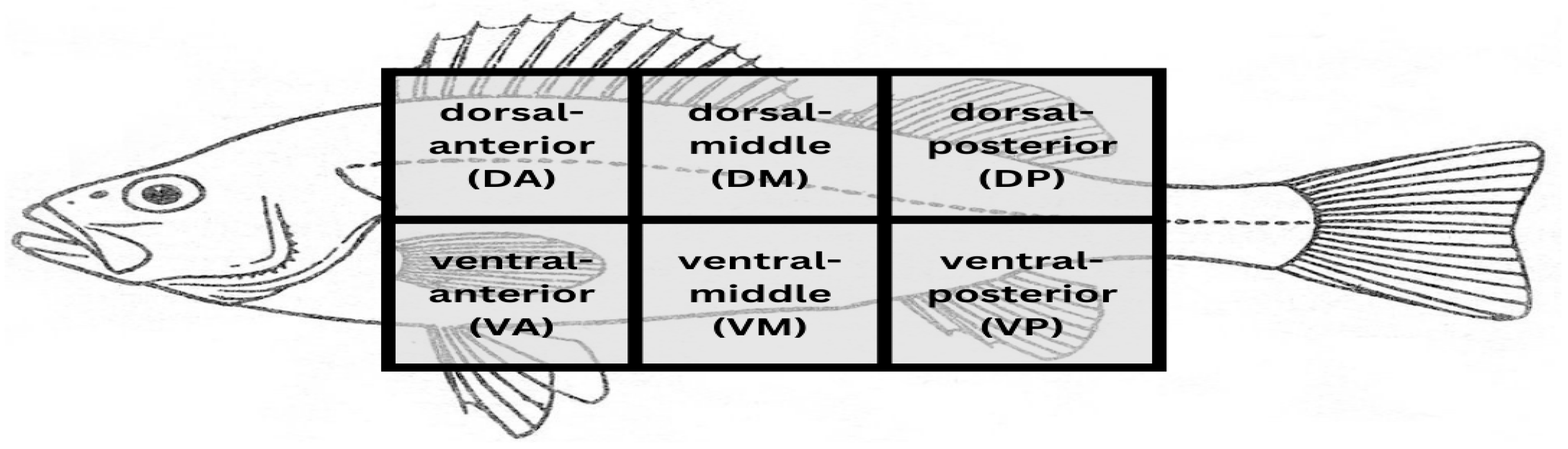 Fishes 10 00523 g002