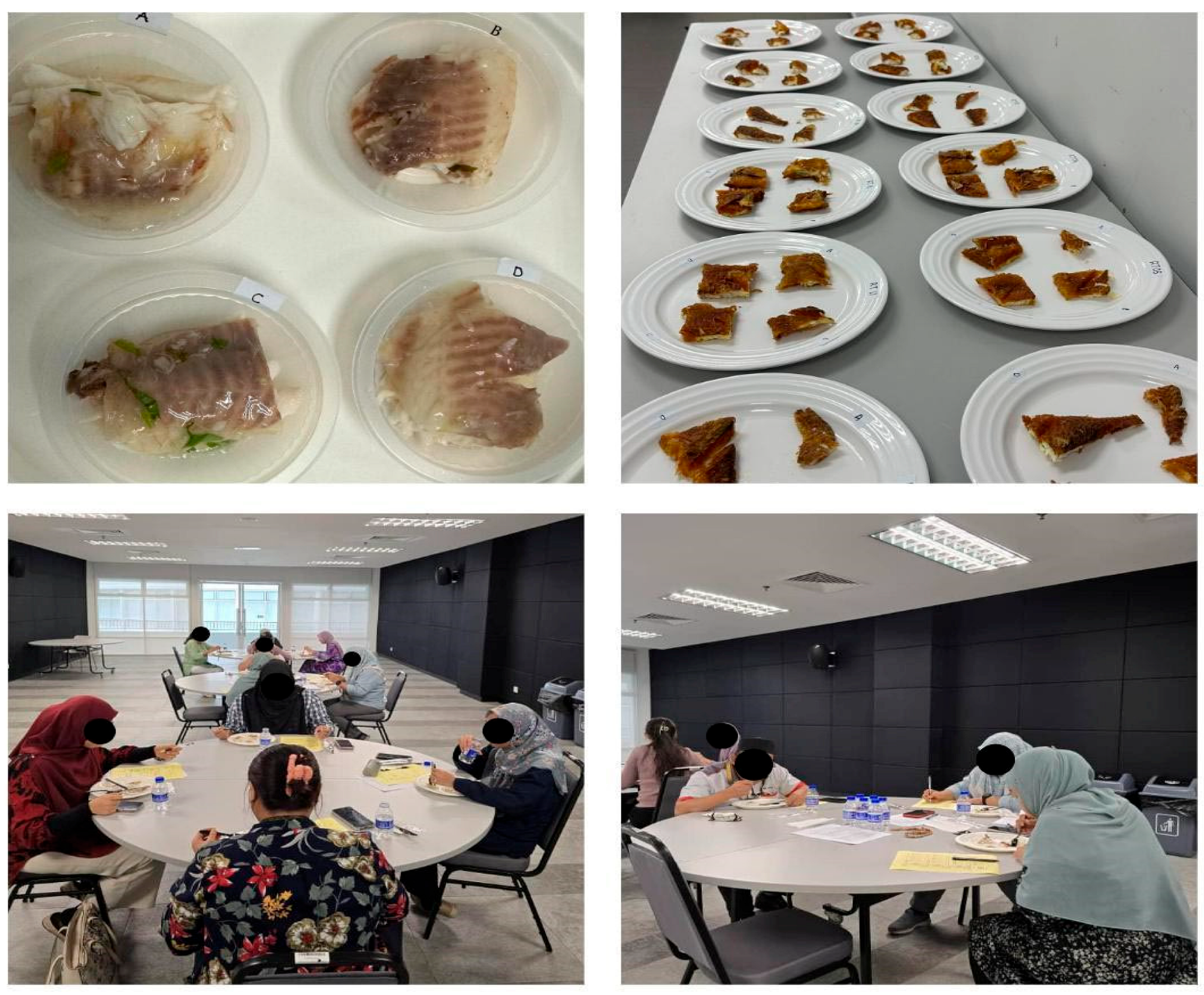 Fishes 10 00523 g003