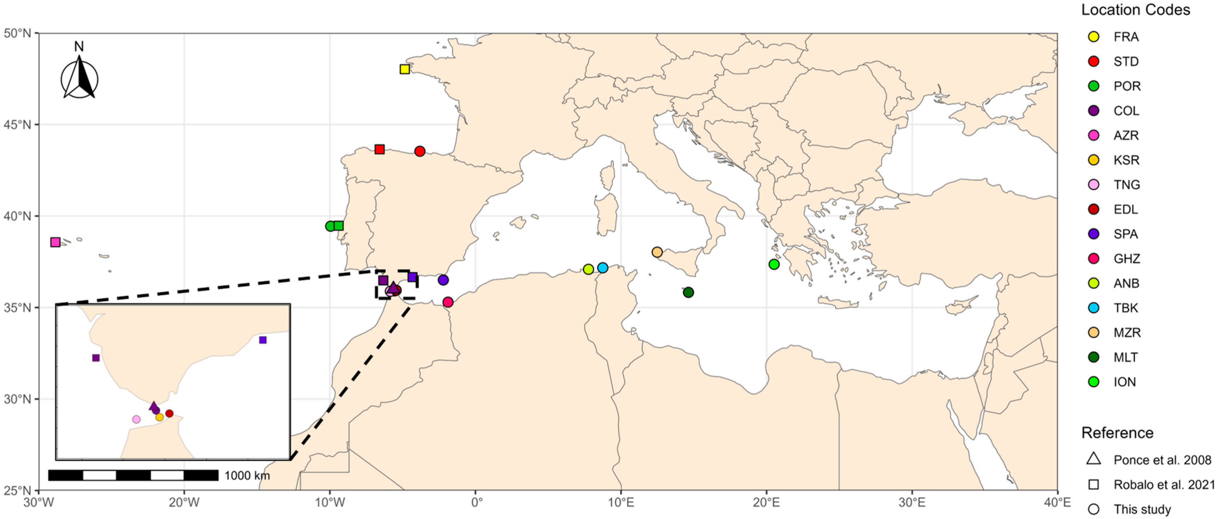 Fishes 10 00527 g001