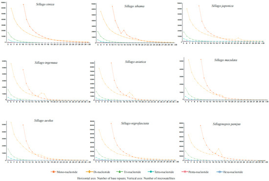 Distribution and Comparative Analysis of Genomic Microsatellites