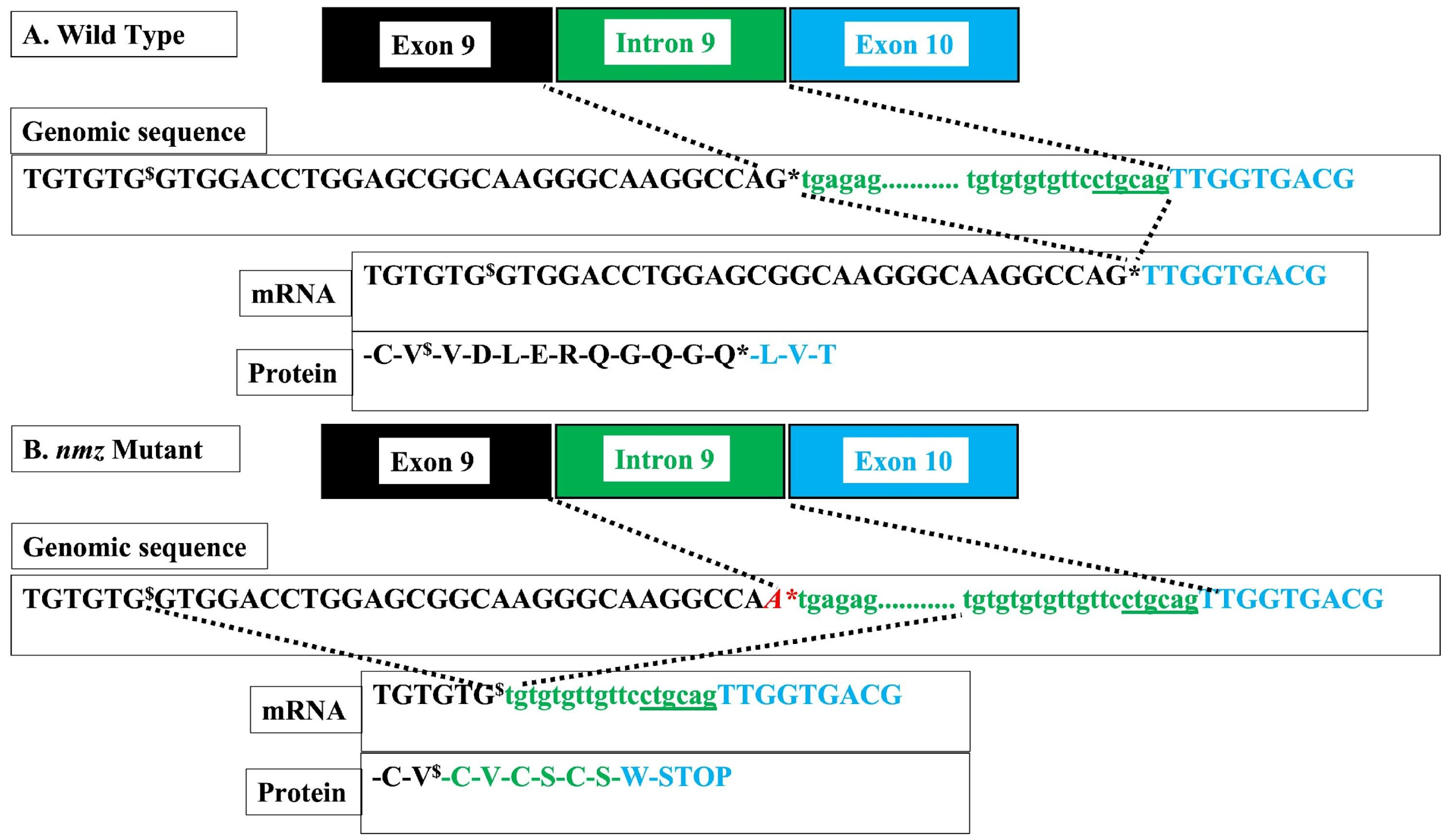 Fishes 10 00539 g005