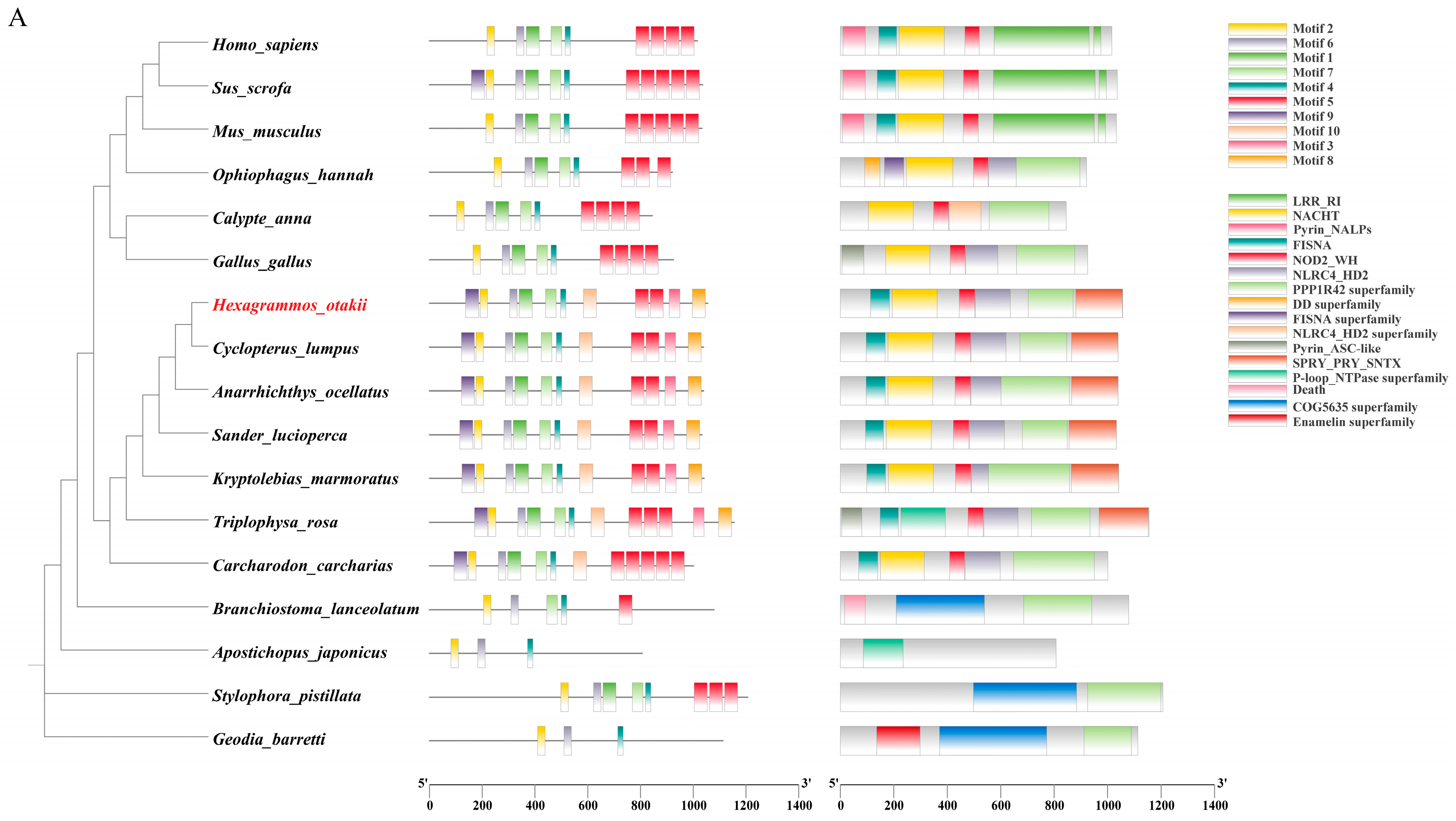 Fishes 10 00542 g001a Fishes 10 00542 g001a