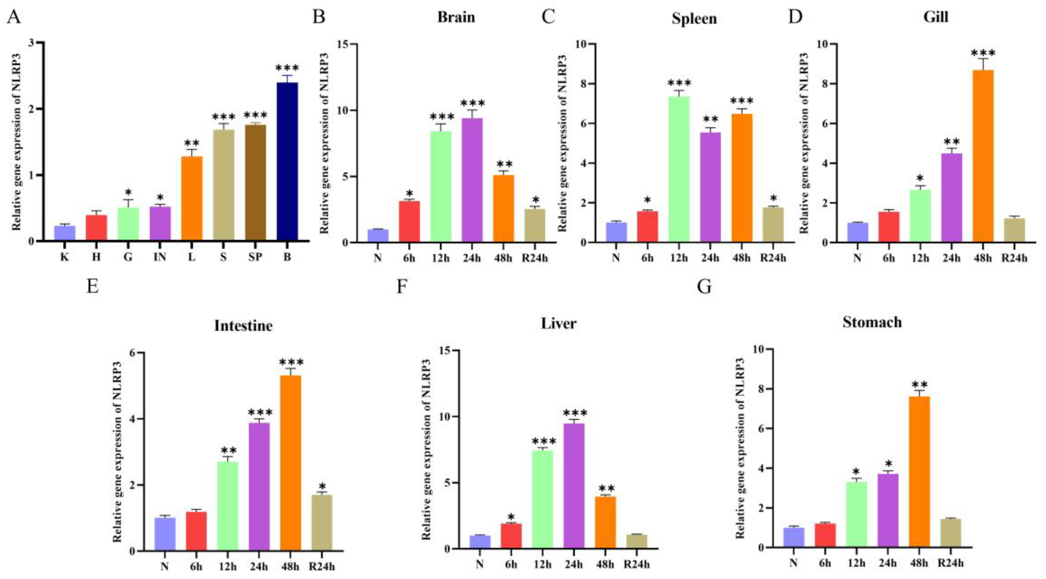 Fishes 10 00542 g002 Fishes 10 00542 g002