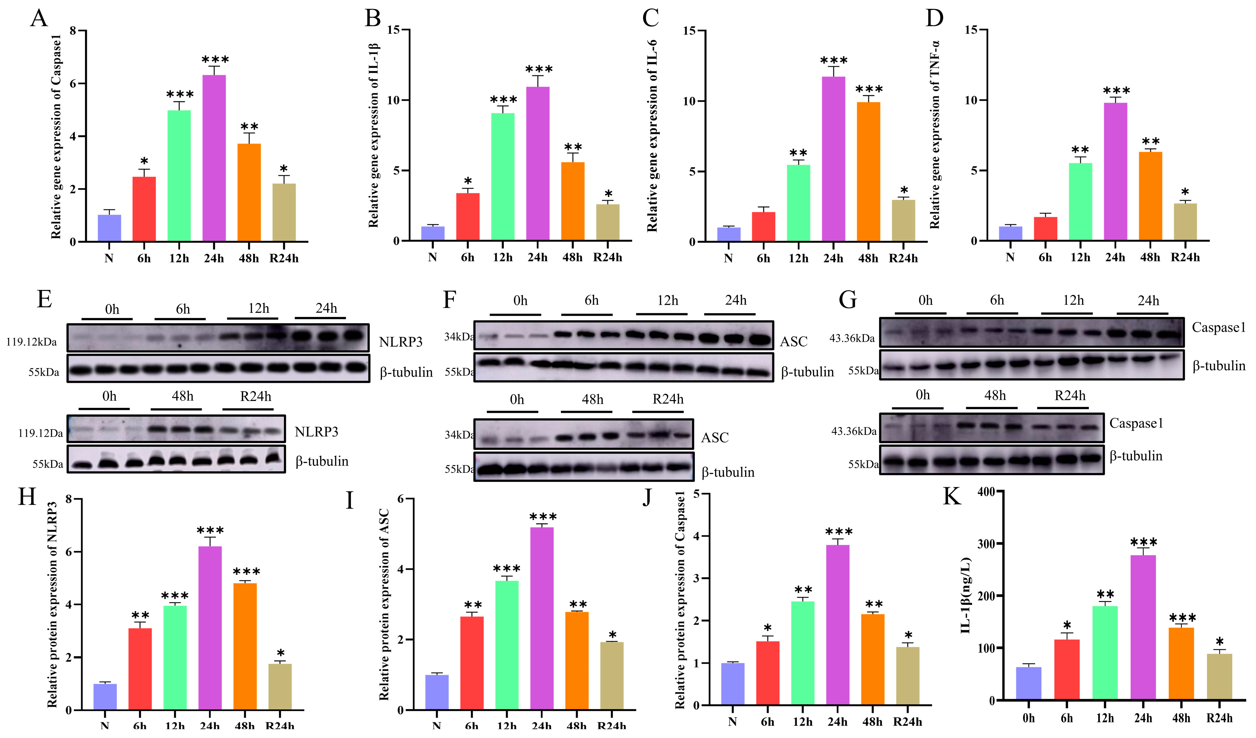 Fishes 10 00542 g004 Fishes 10 00542 g004