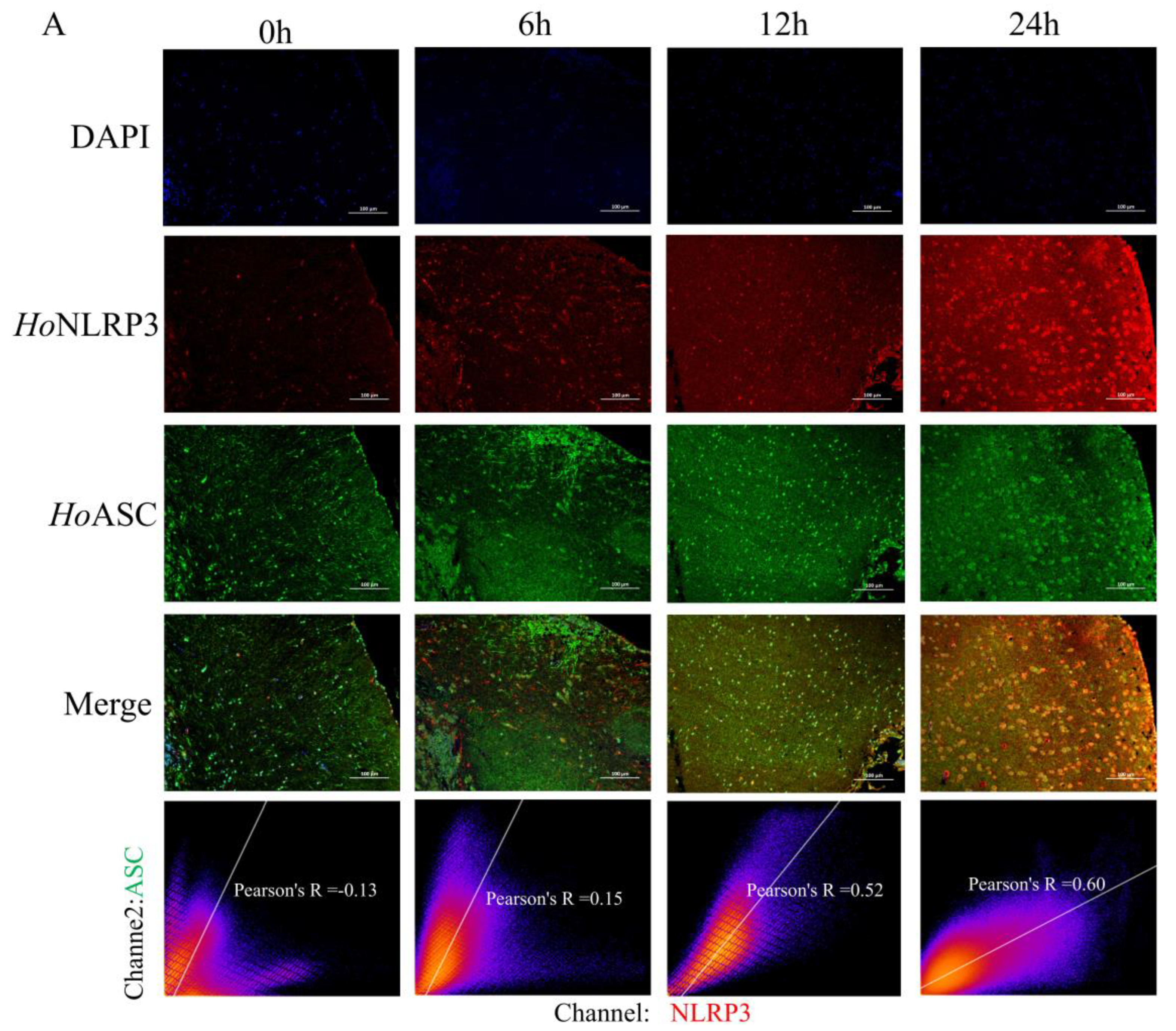 Fishes 10 00542 g005a Fishes 10 00542 g005a
