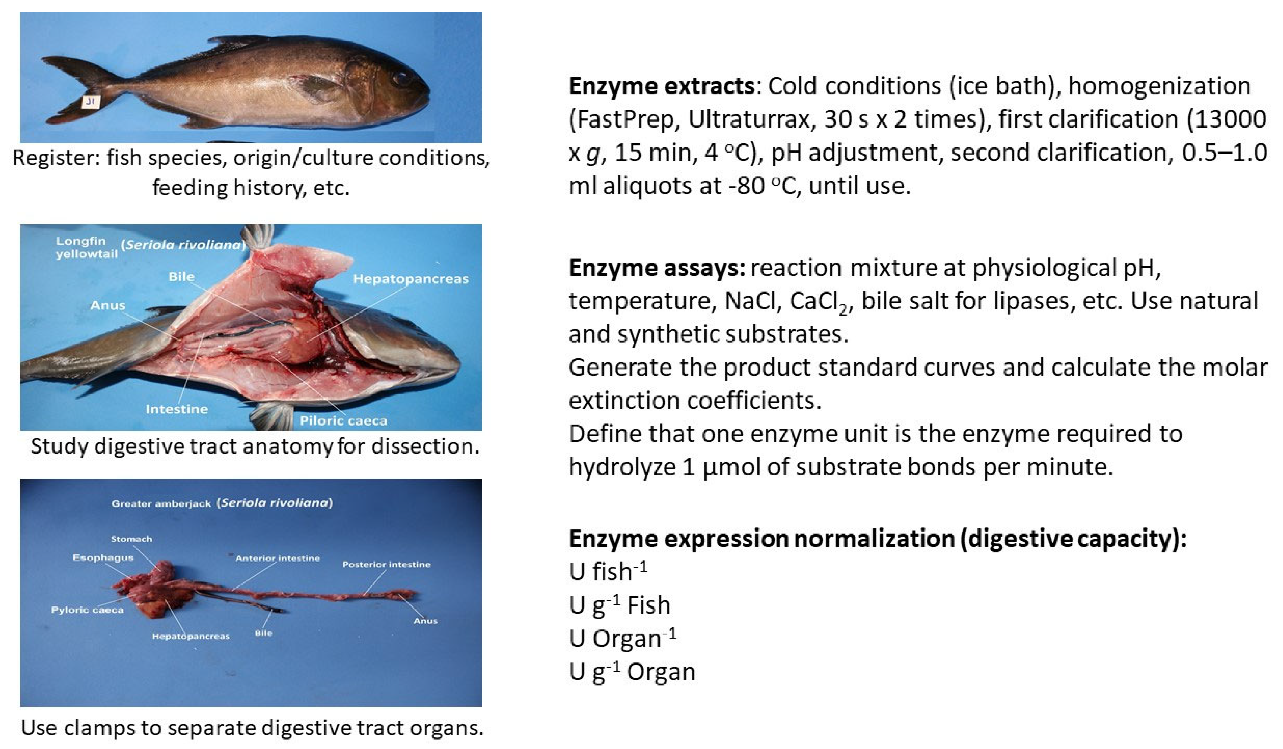 Fishes 10 00546 g001 Fishes 10 00546 g001