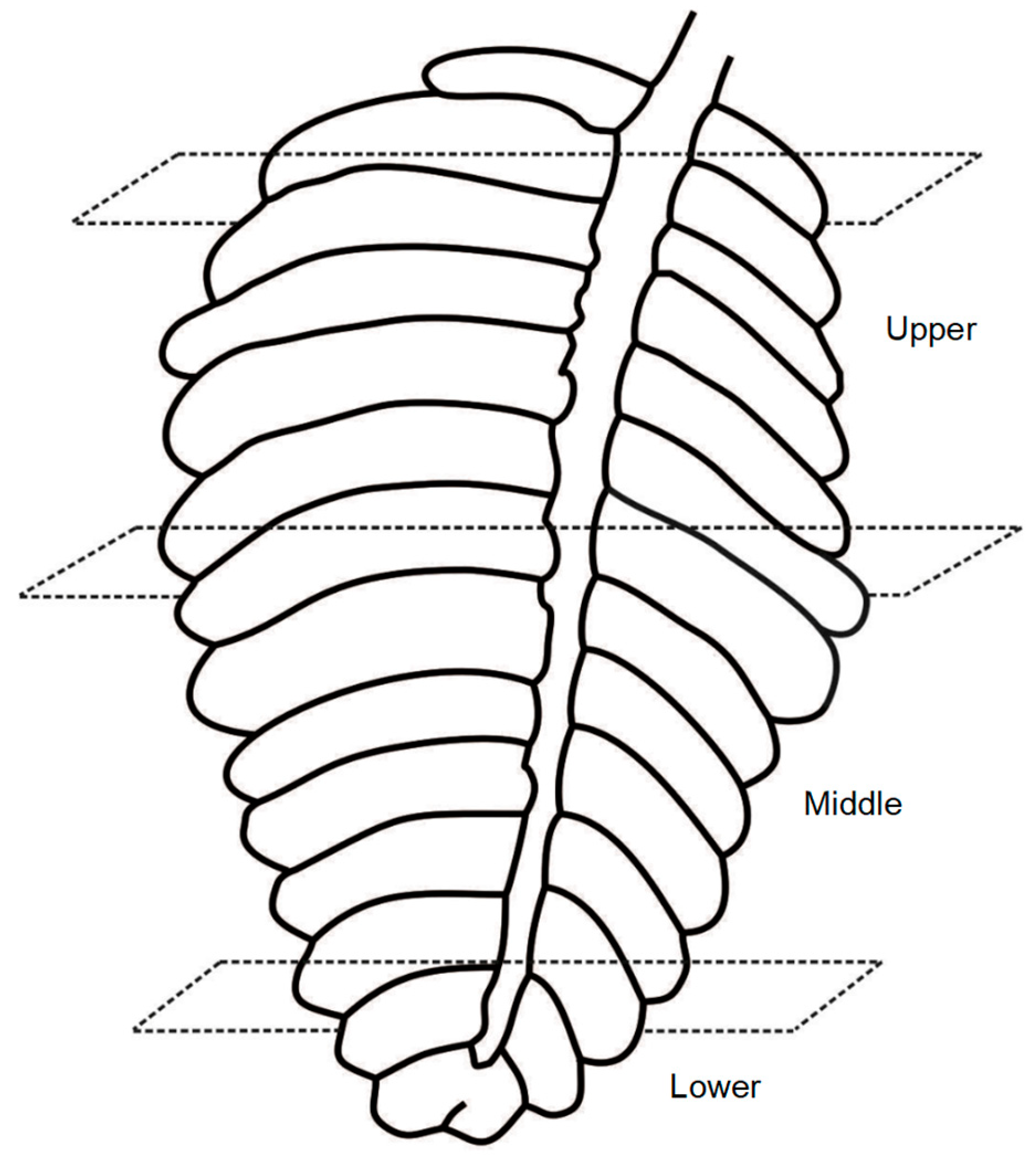 Fishes 10 00553 g001