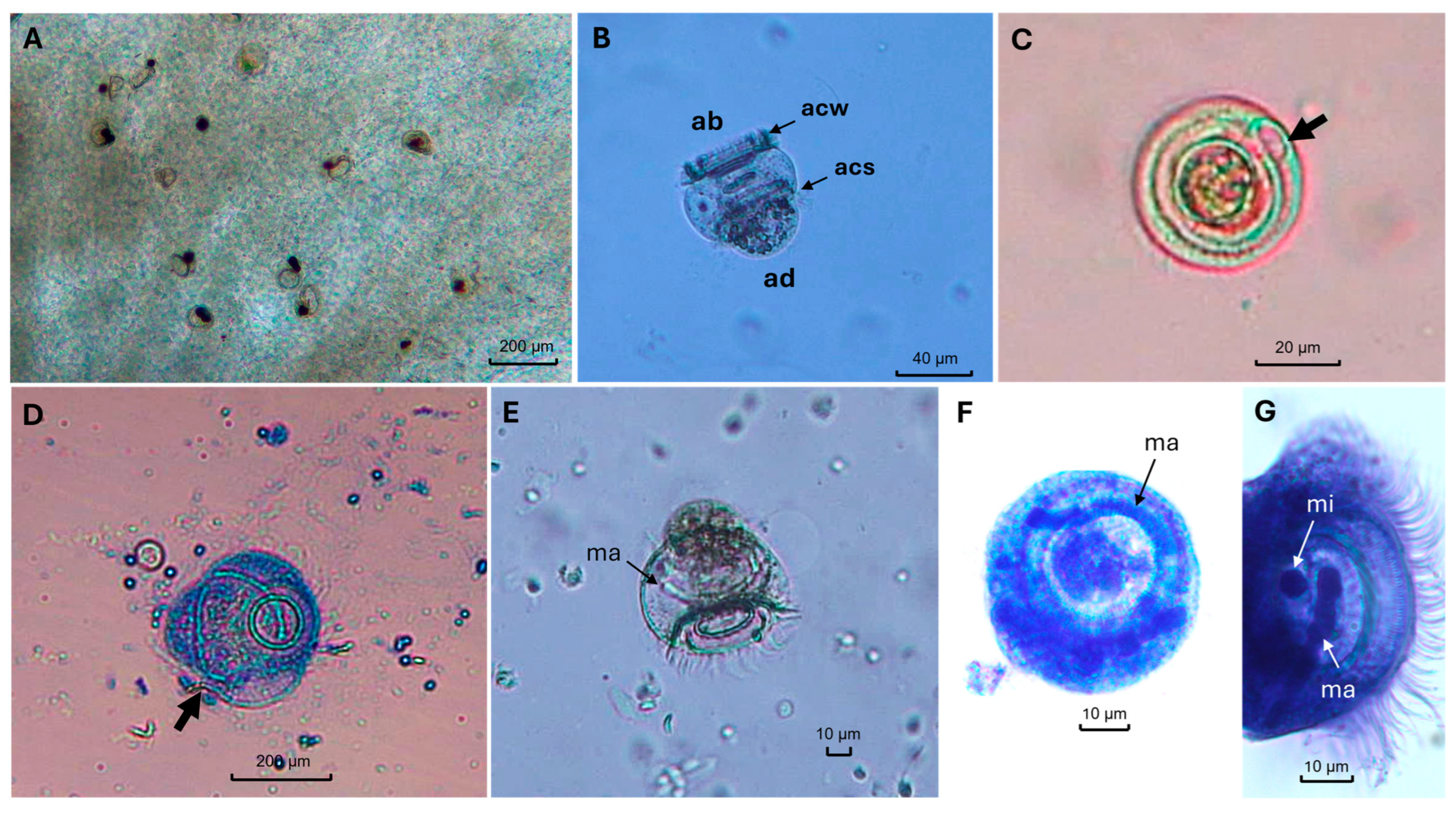 Fishes 10 00553 g002