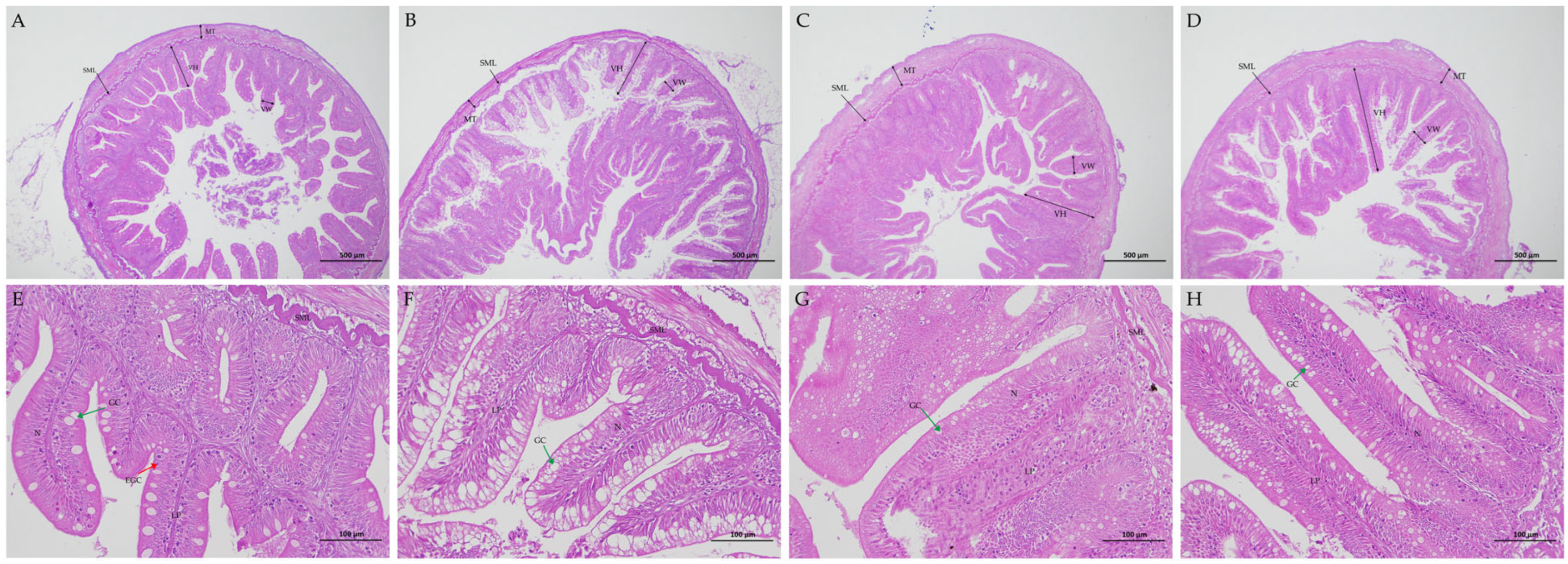 Fishes 10 00555 g001 Fishes 10 00555 g001