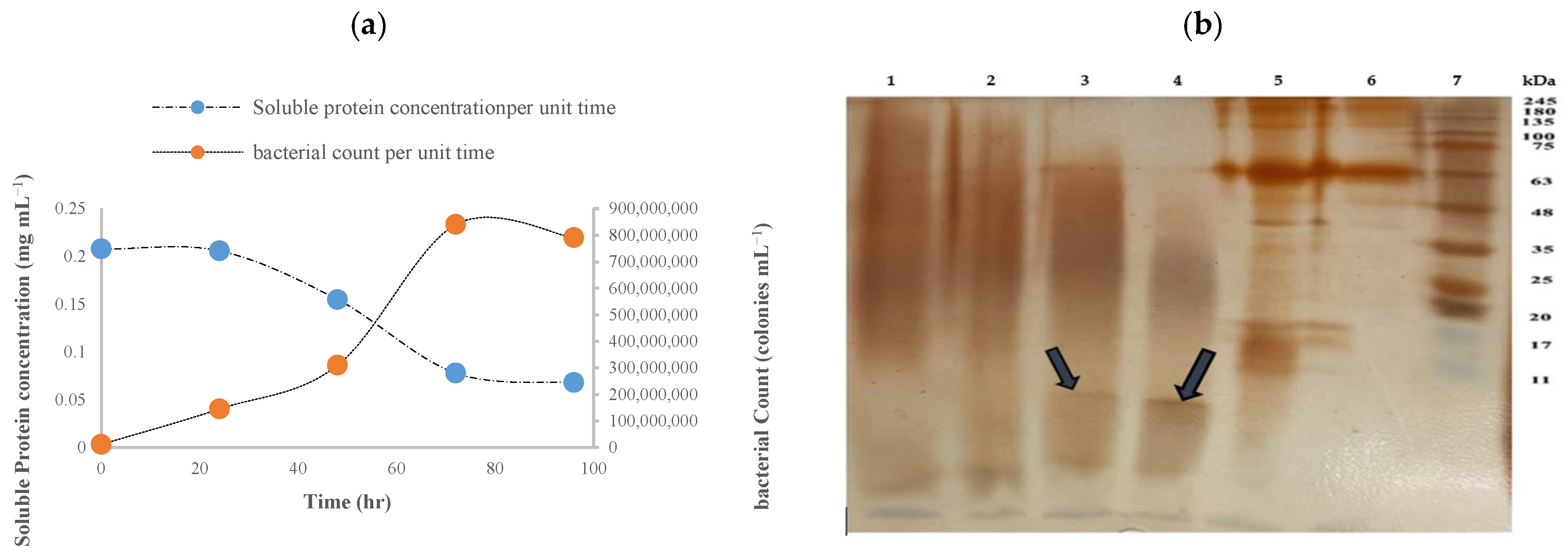 Fishes 10 00556 g004 Fishes 10 00556 g004