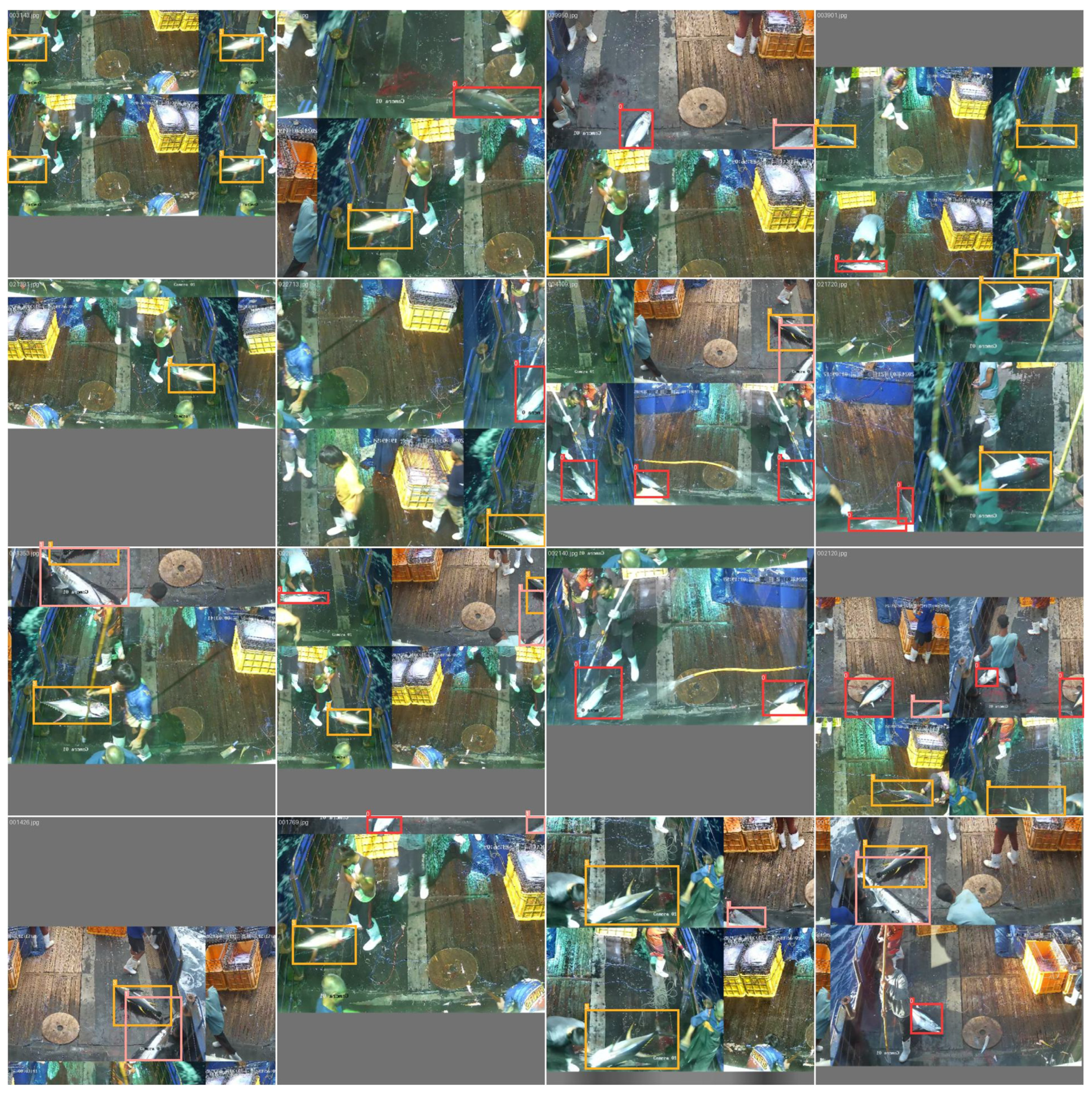 Fishes 10 00557 g004