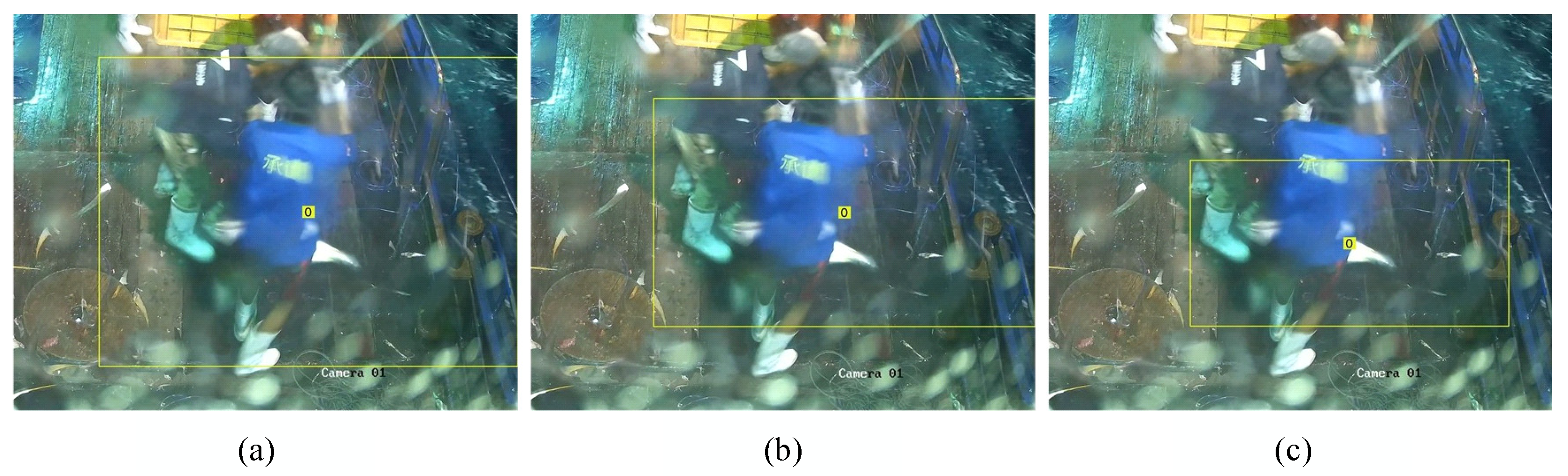 Fishes 10 00557 g005