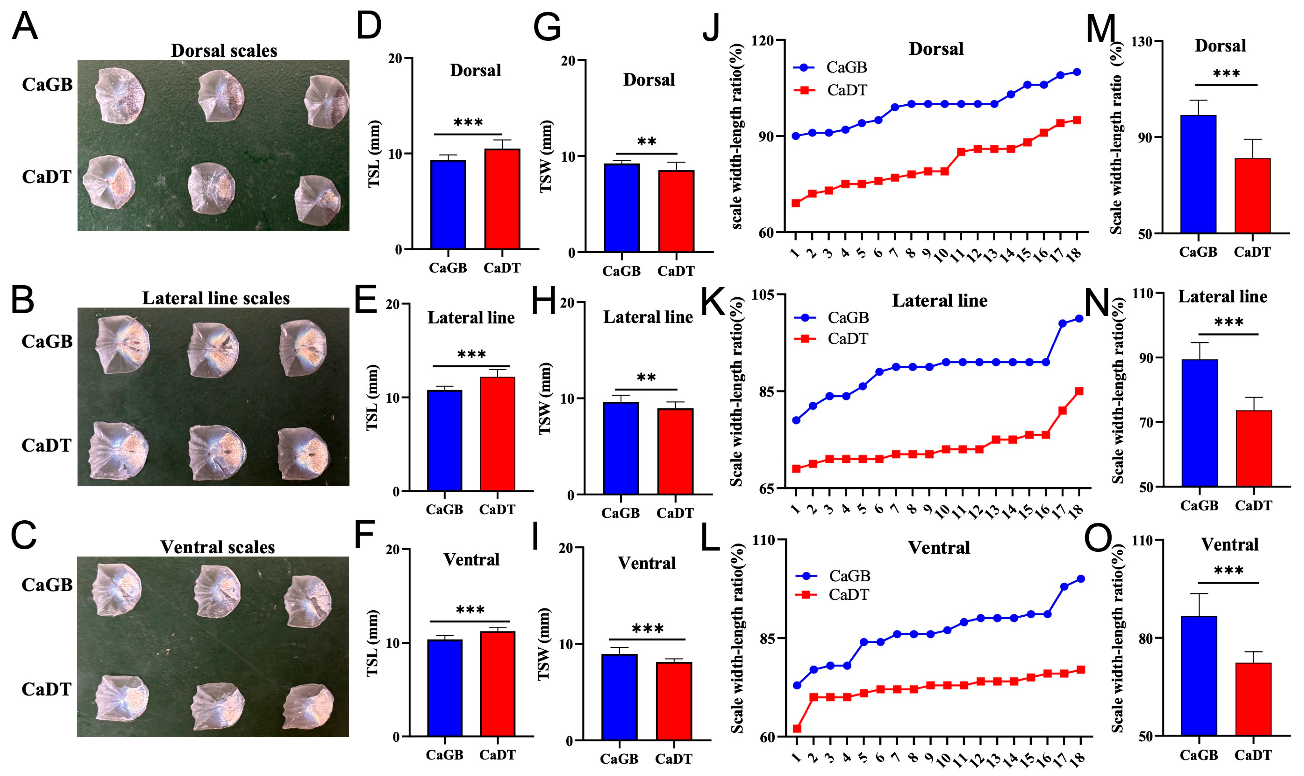 Fishes 10 00559 g002