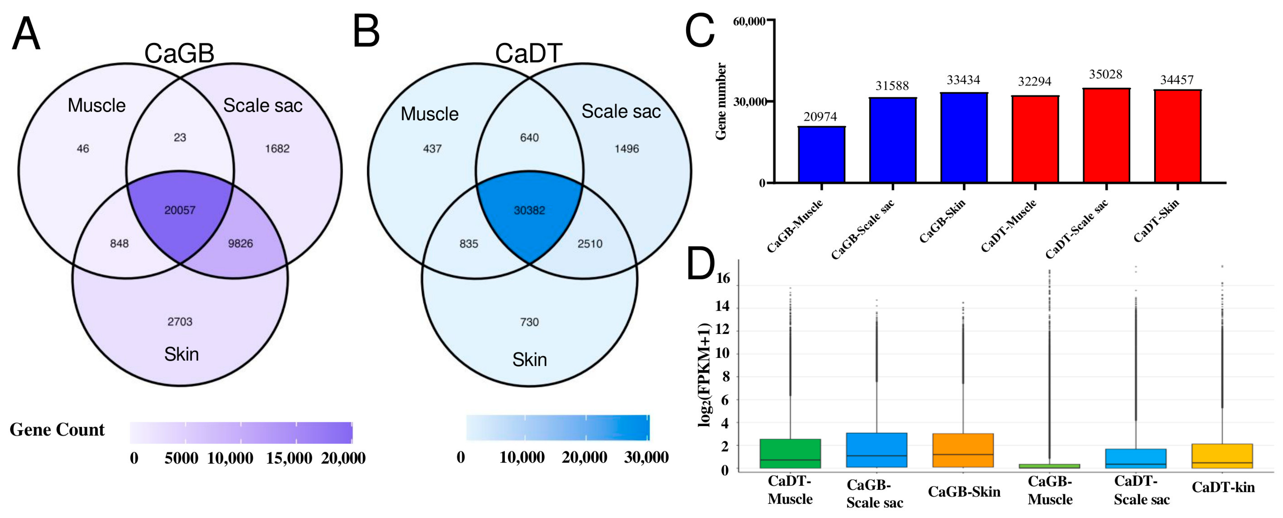 Fishes 10 00559 g004