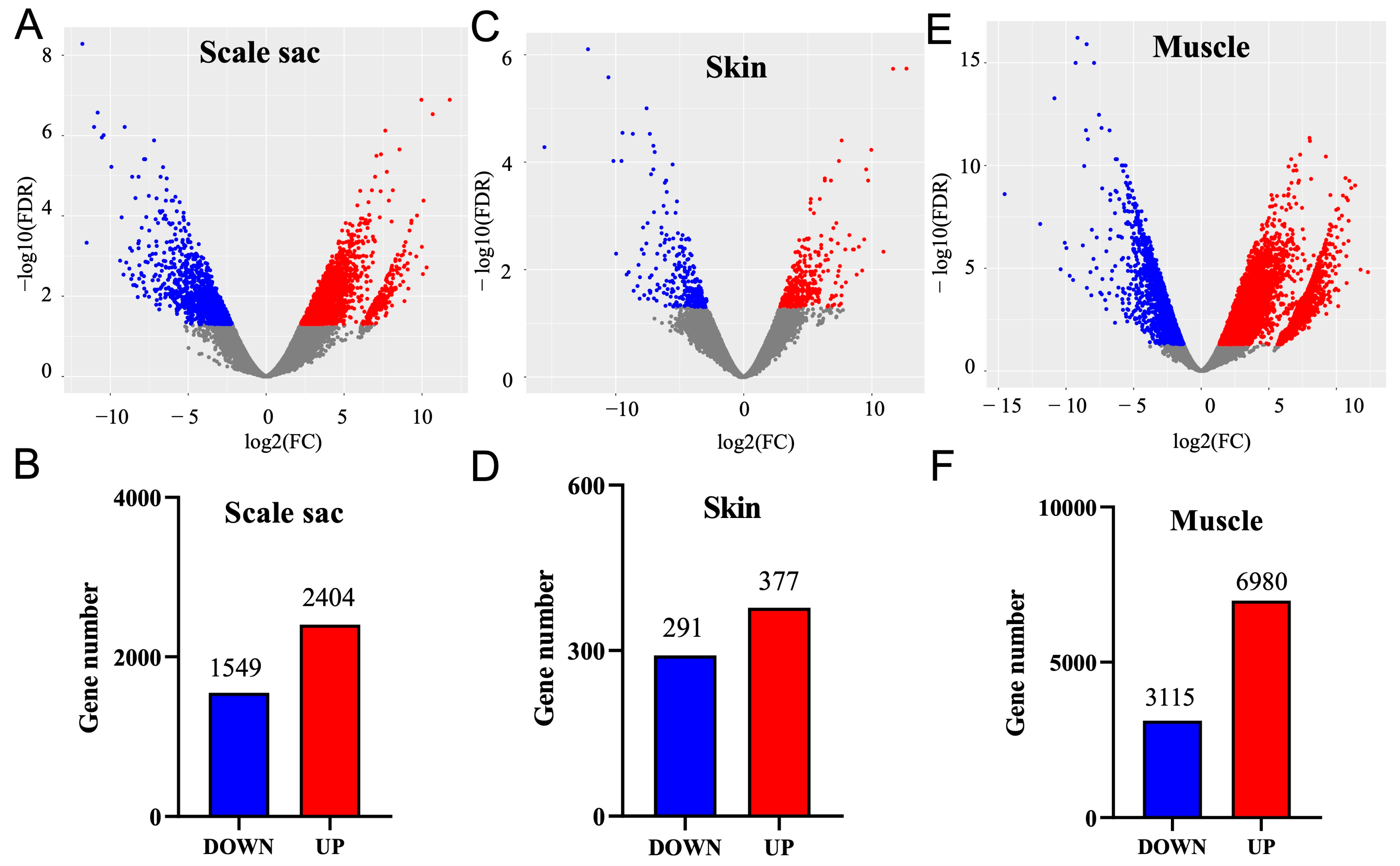 Fishes 10 00559 g005