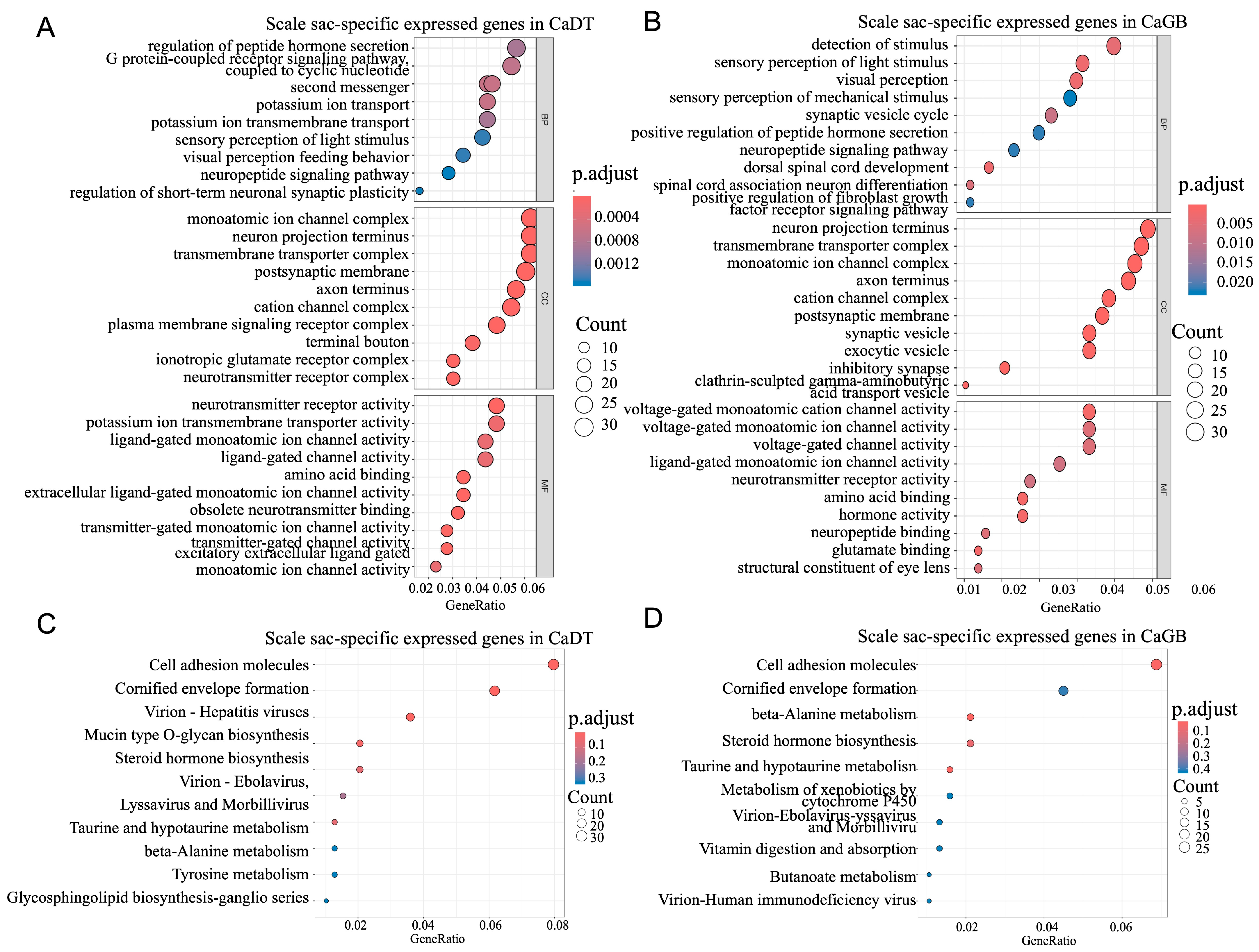 Fishes 10 00559 g006