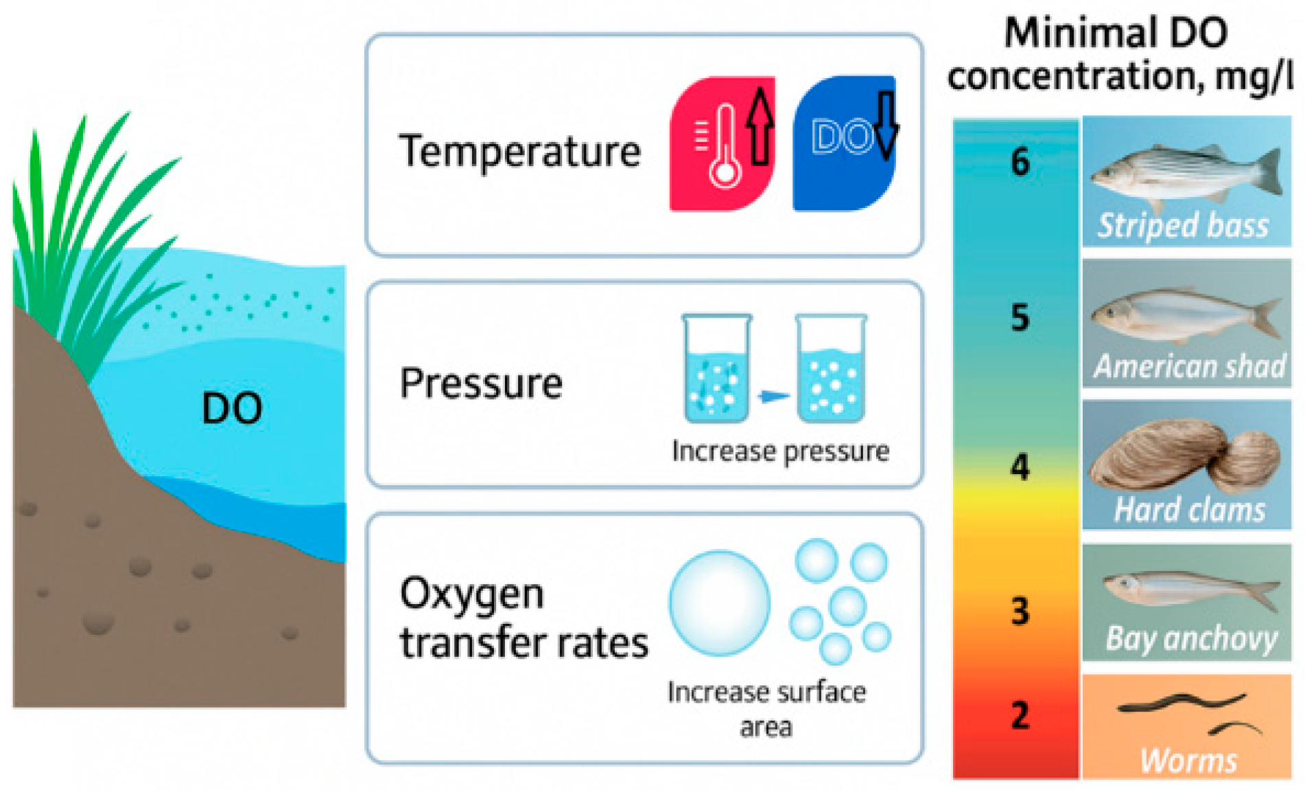 Fishes 10 00561 g011 Fishes 10 00561 g011